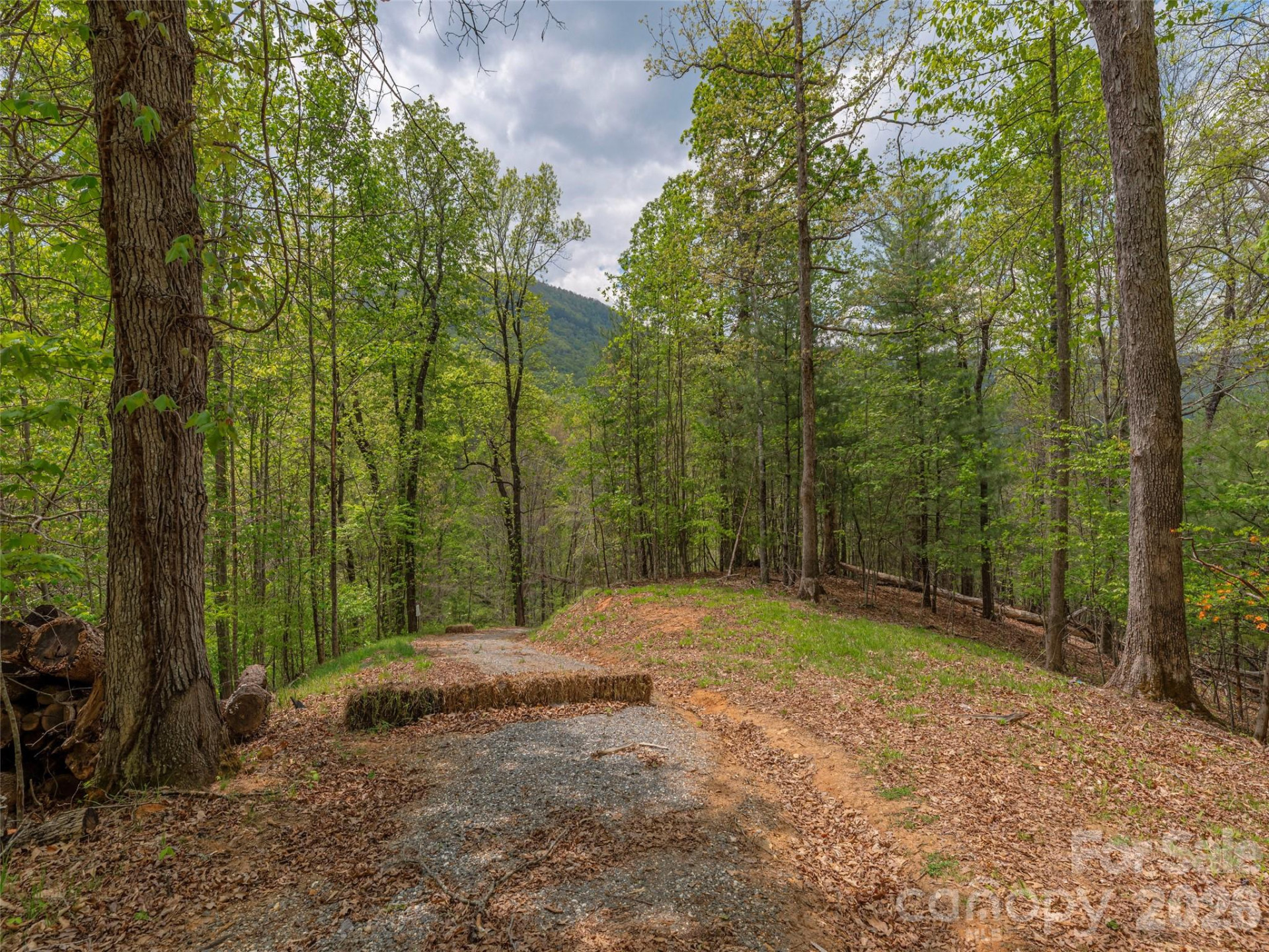 000 Caney Fork Road - Photo 3