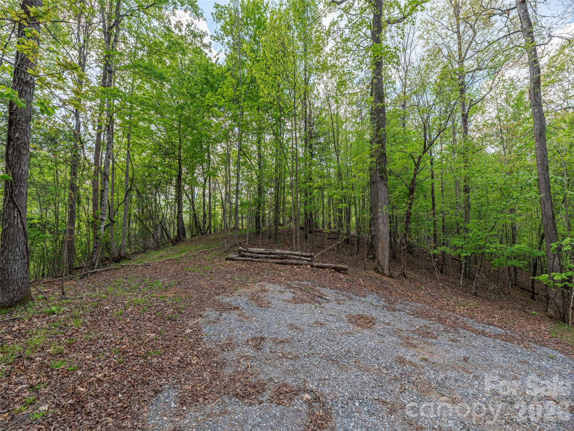 000 Caney Fork Road - Photo 4