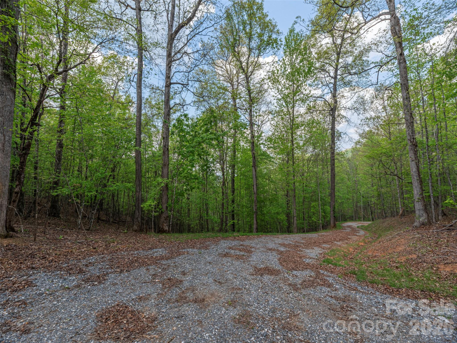 000 Caney Fork Road - Photo 5