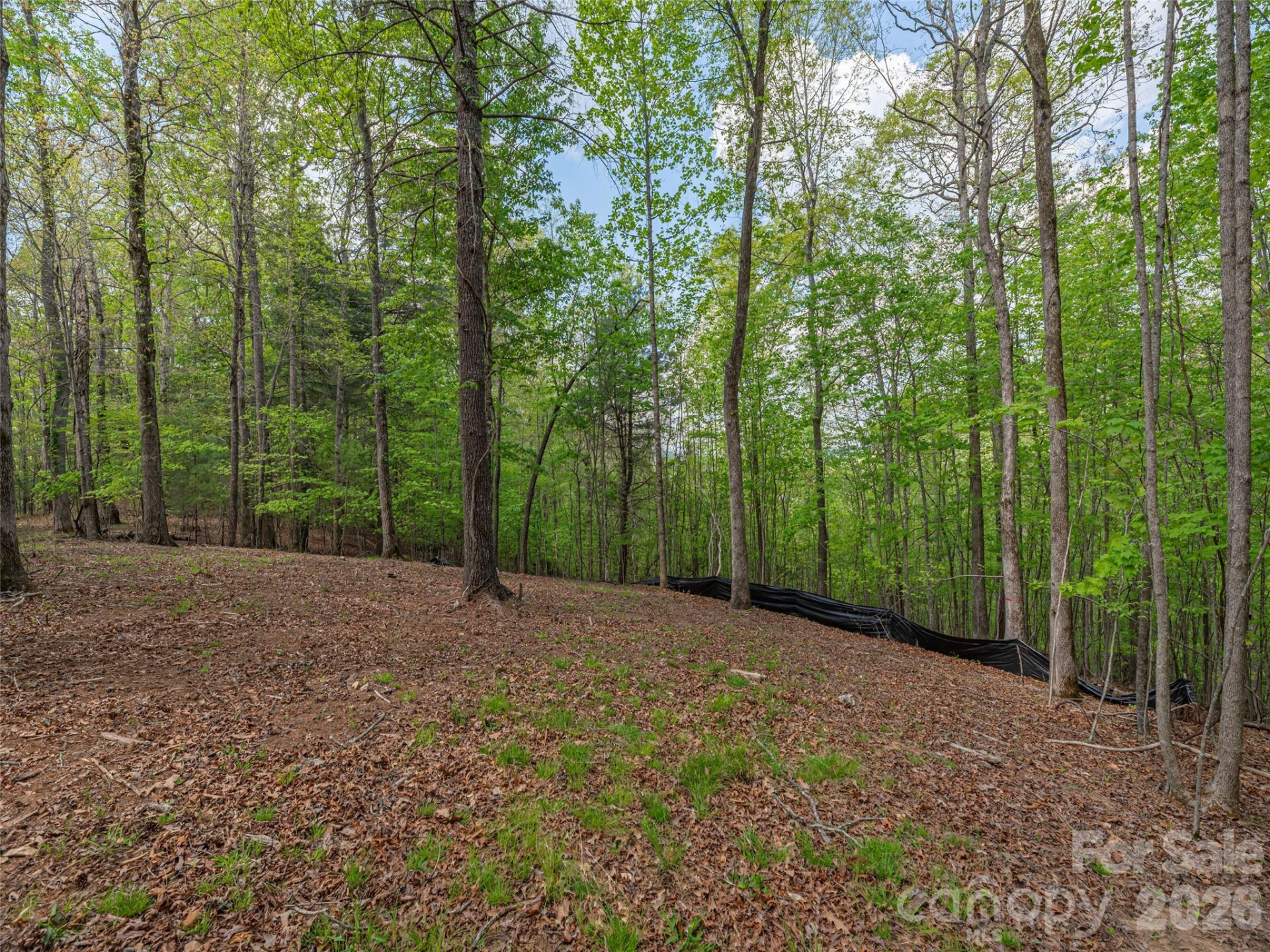 000 Caney Fork Road - Photo 7