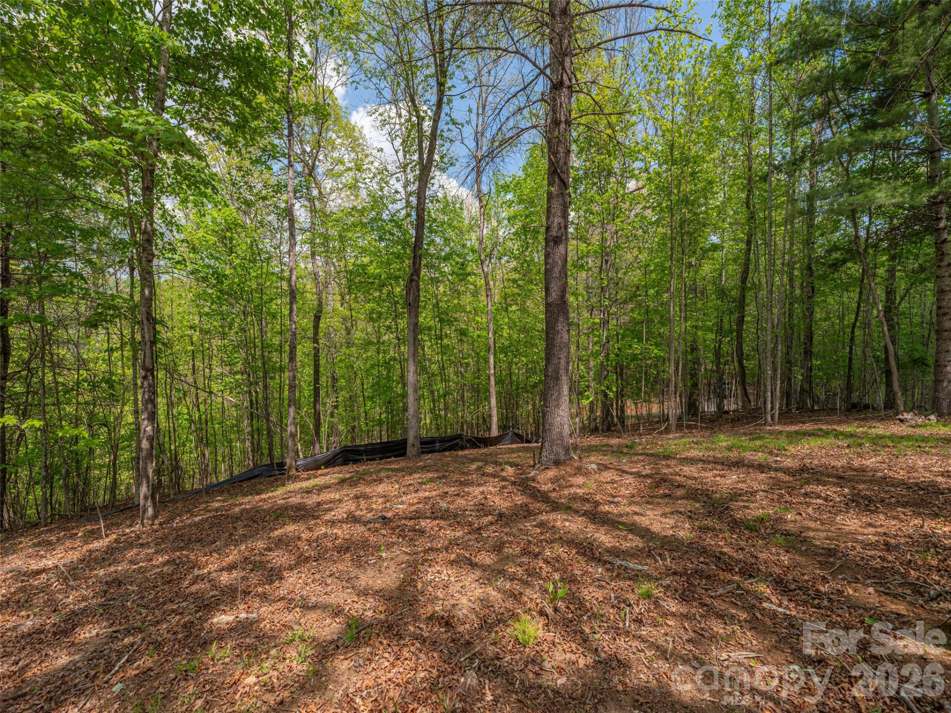 000 Caney Fork Road - Photo 9