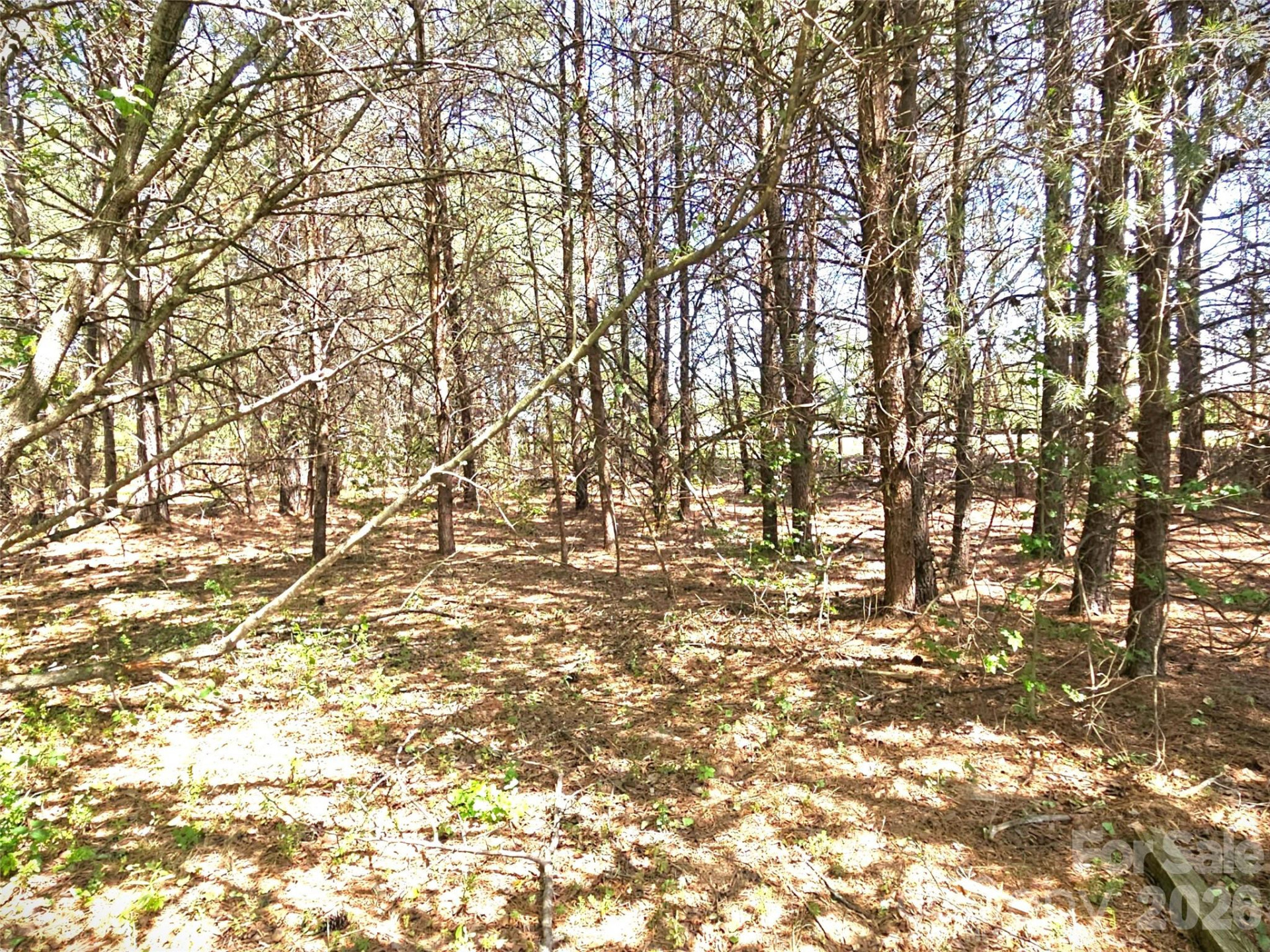 0 NC 9 Highway - Photo 14