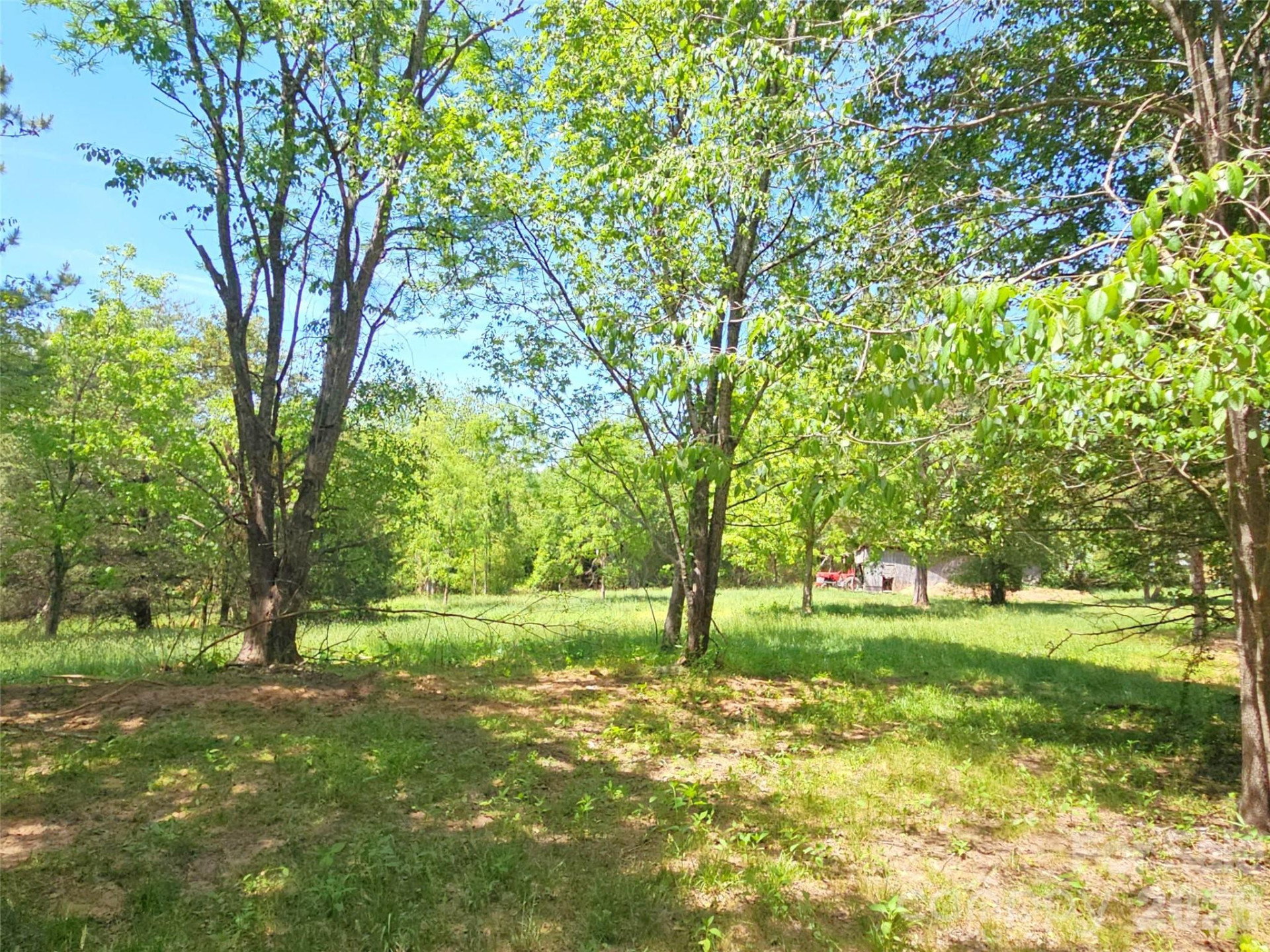 0 NC 9 Highway - Photo 16