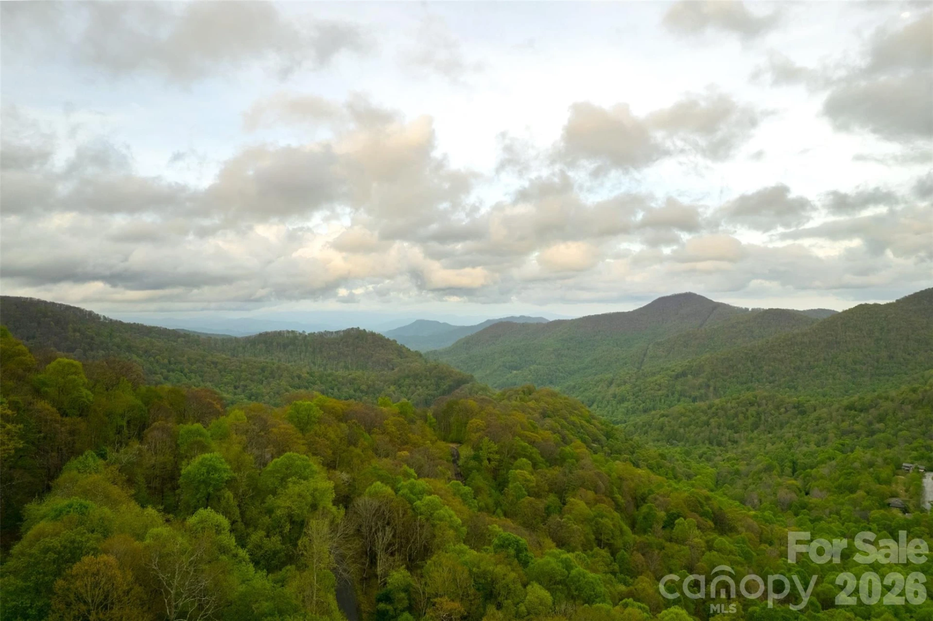 179 Chestnut Village - Photo 14