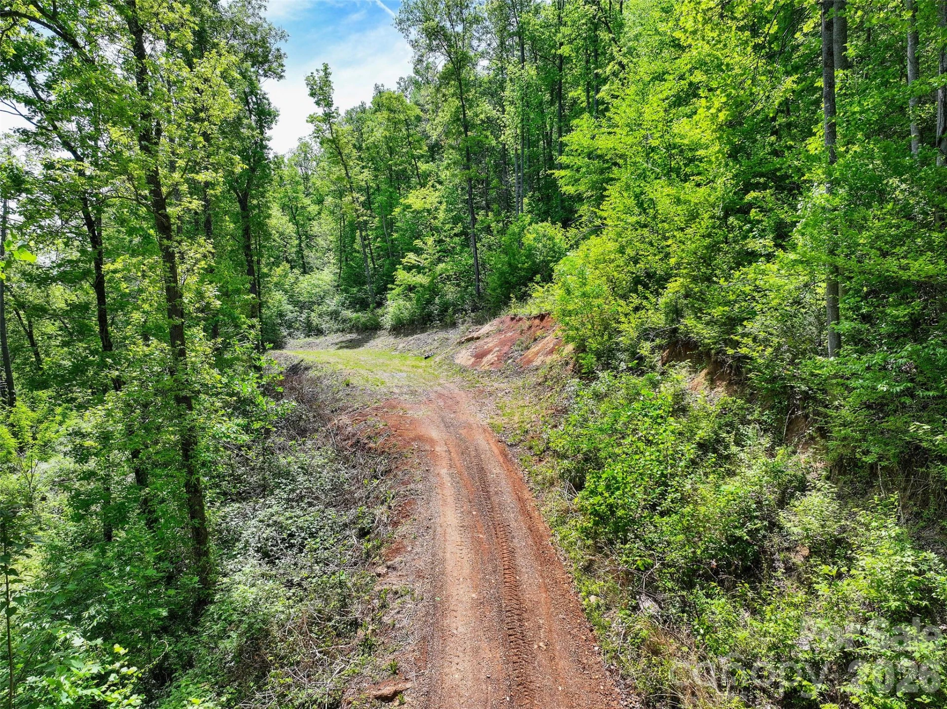 788 Cowee Tunnel Road - Photo 16