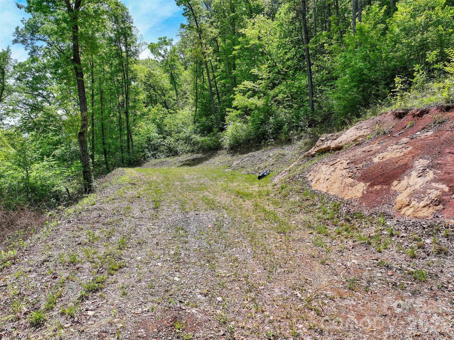 788 Cowee Tunnel Road - Photo 10