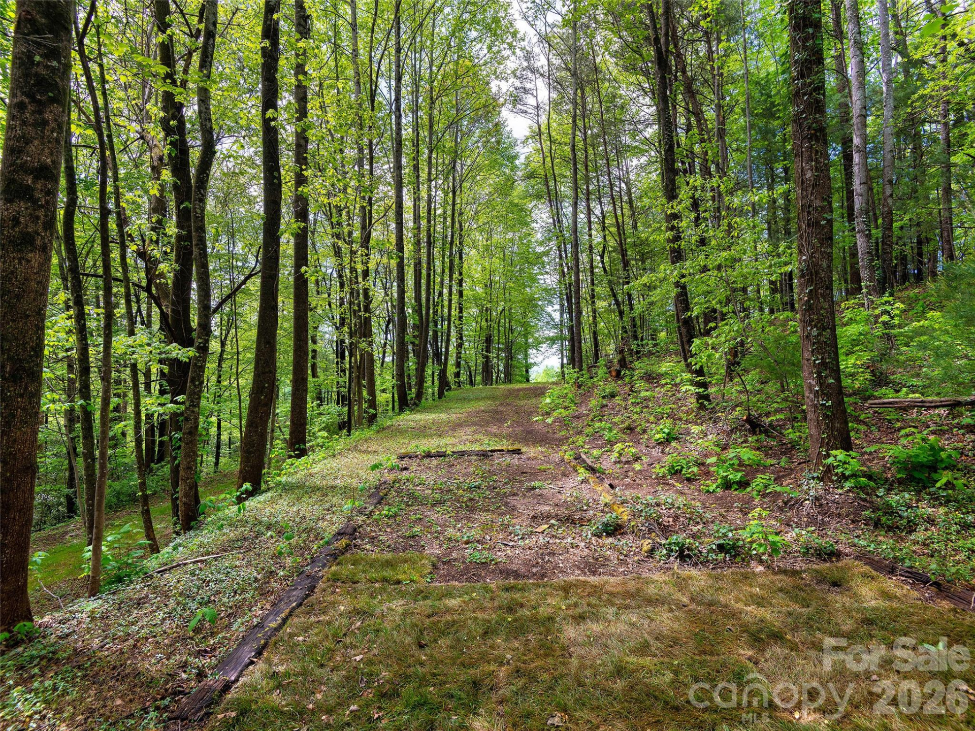 209 Ivy Hill Road - Photo 32
