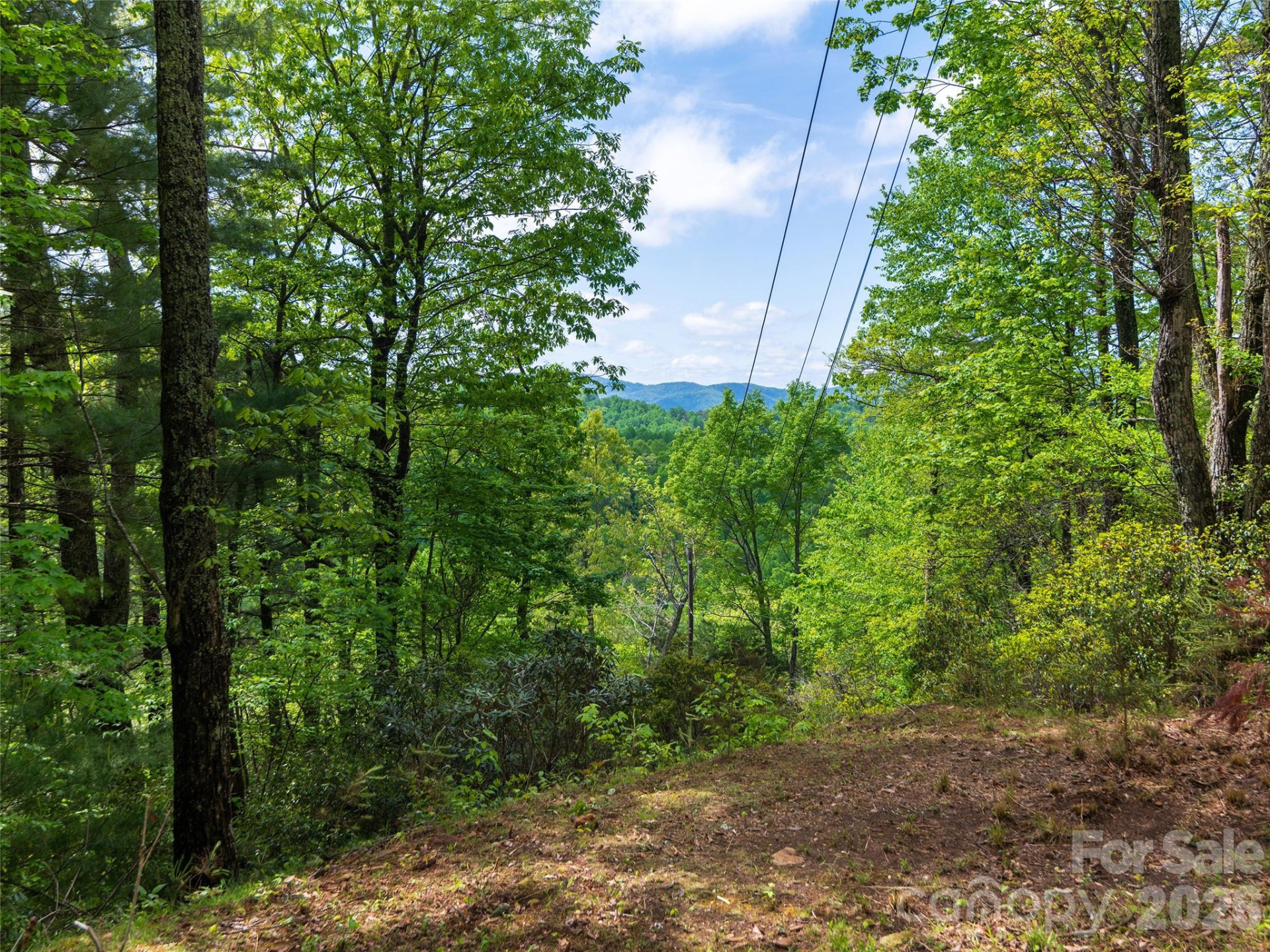 209 Ivy Hill Road - Photo 33