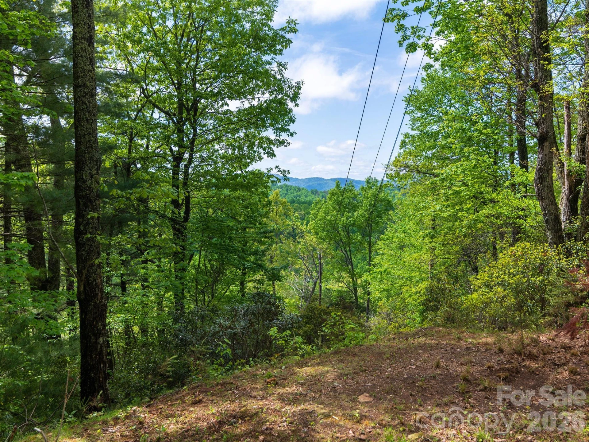 209 Ivy Hill Road - Photo 33