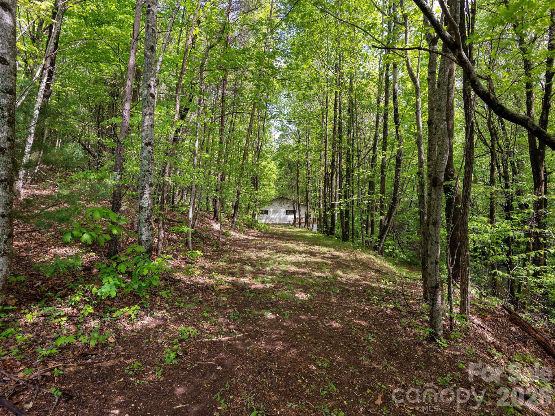 209 Ivy Hill Road - Photo 34