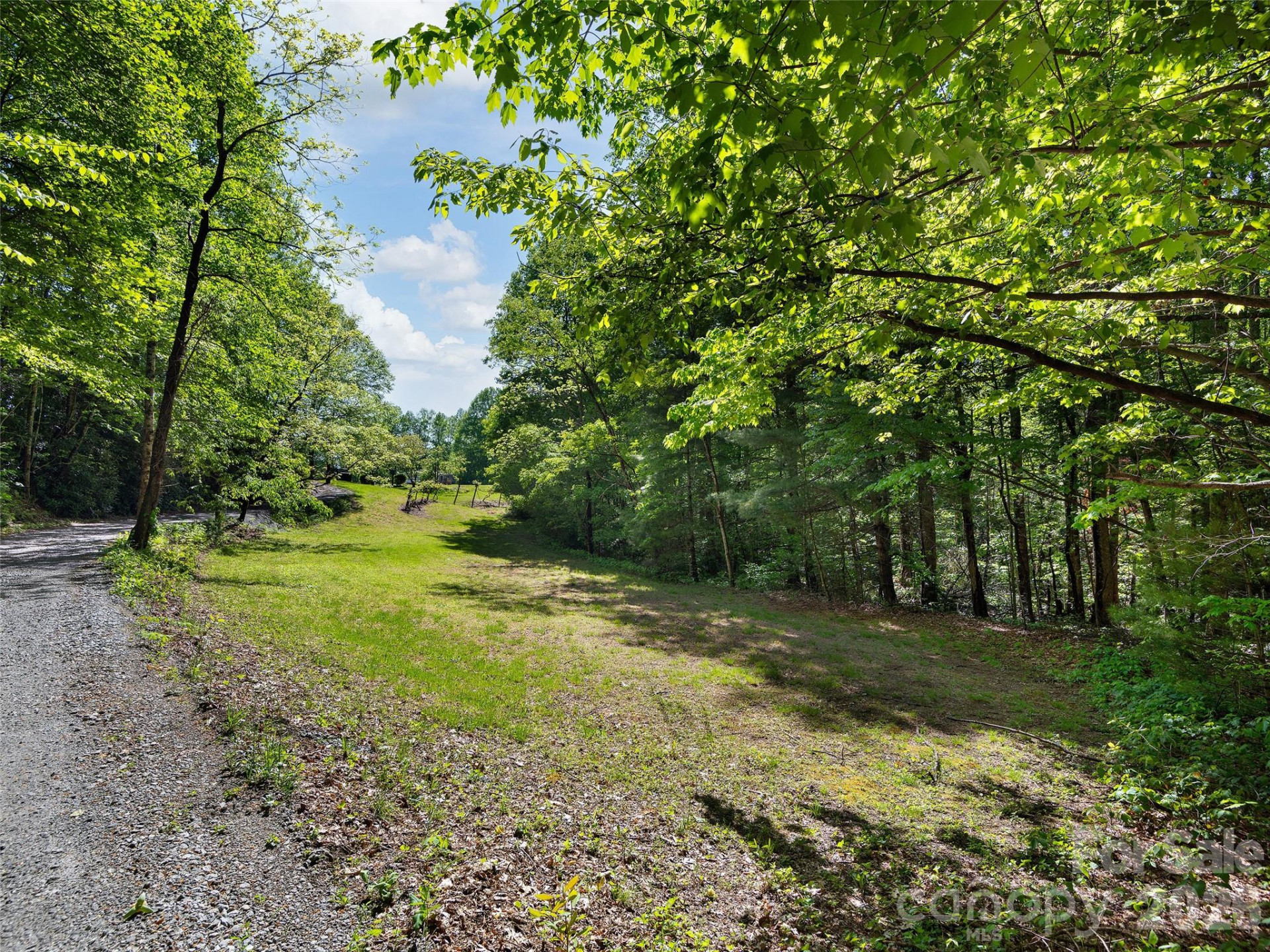209 Ivy Hill Road - Photo 35
