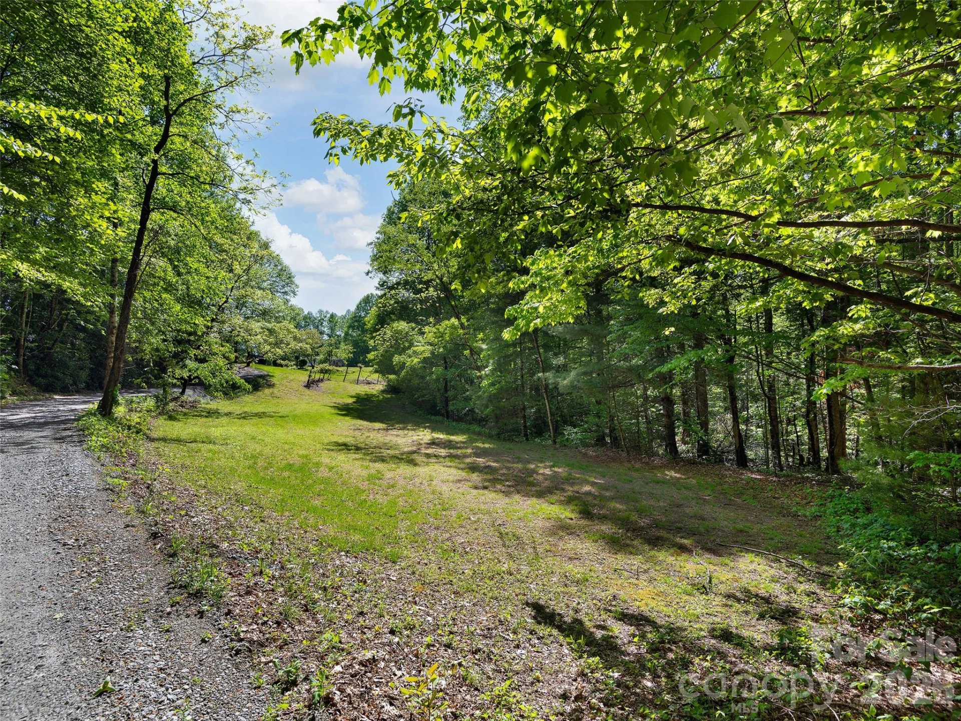209 Ivy Hill Road - Photo 35