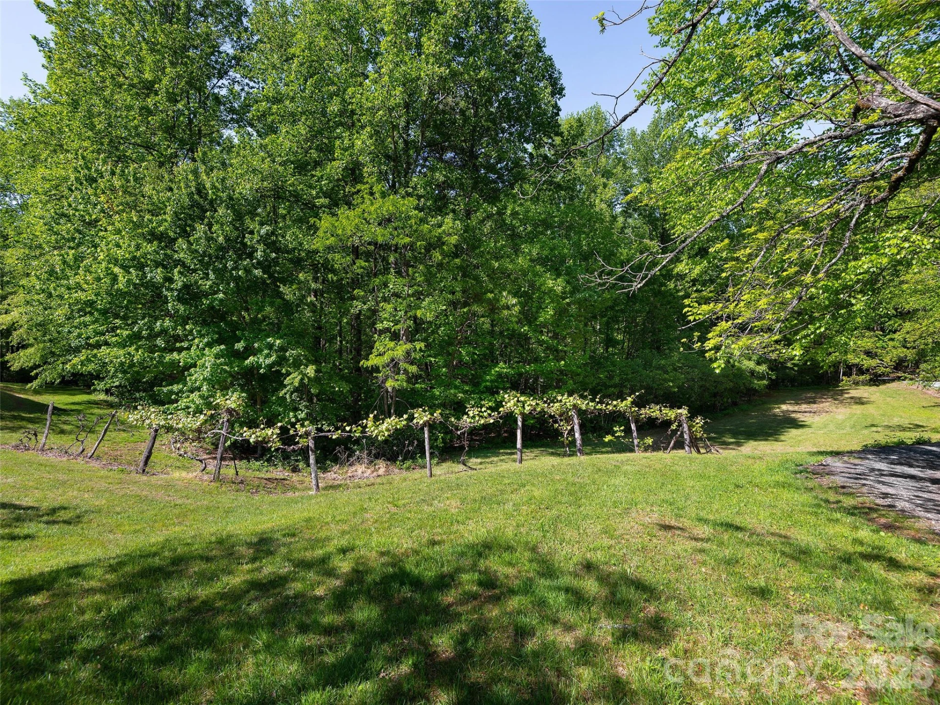 209 Ivy Hill Road - Photo 36
