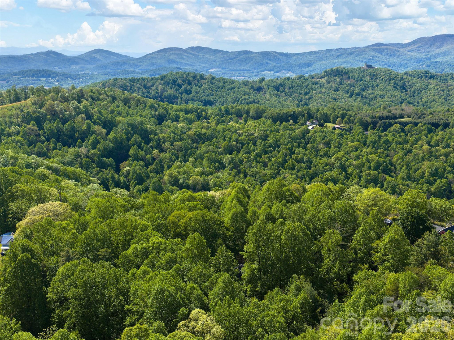 209 Ivy Hill Road - Photo 38
