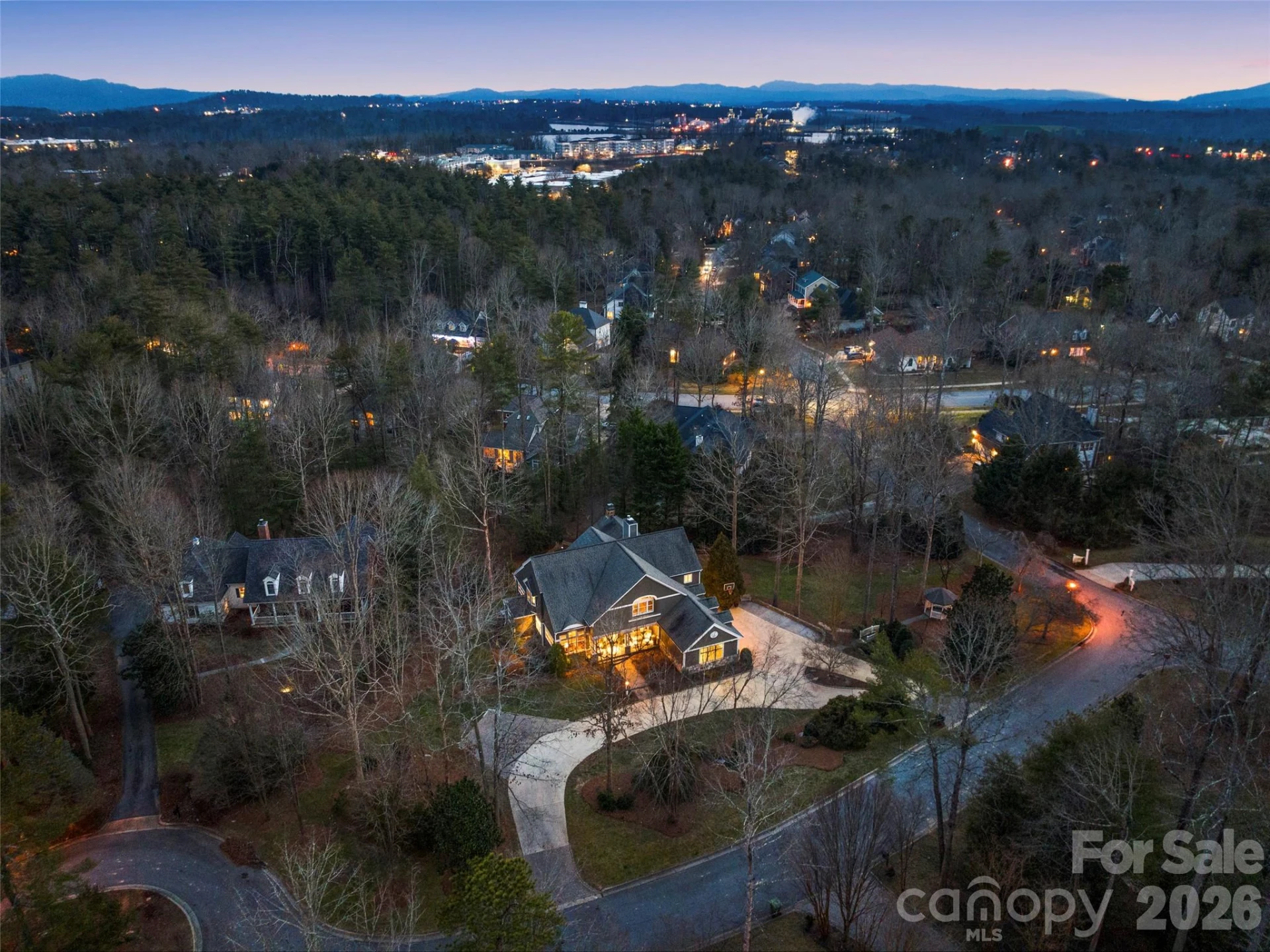 701 Baneberry Court - Photo 47