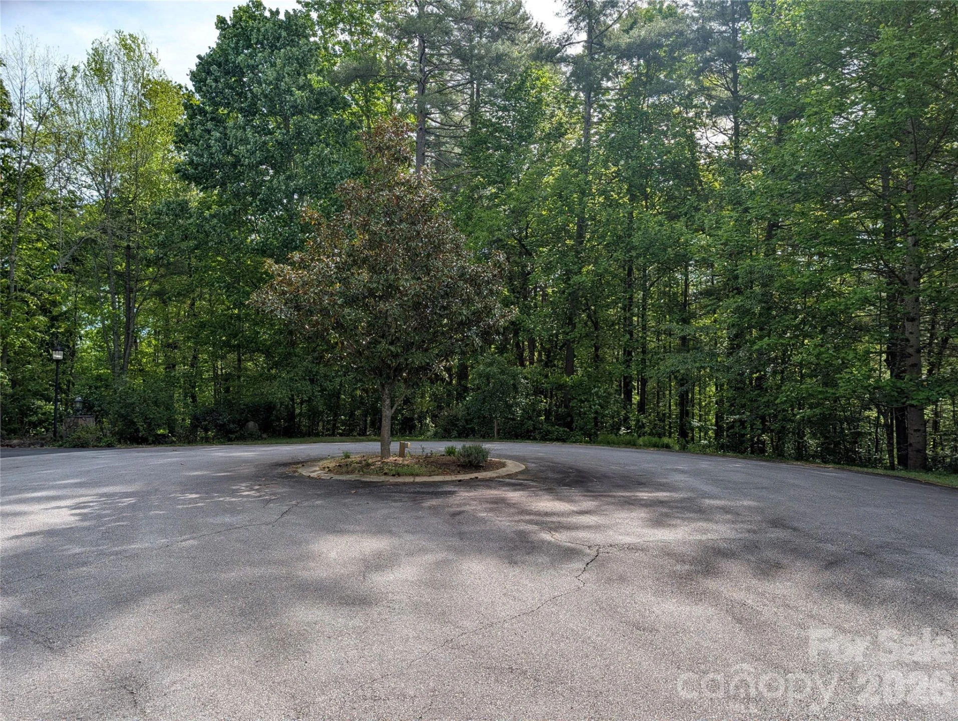 00 Hosta Lane - Photo 11