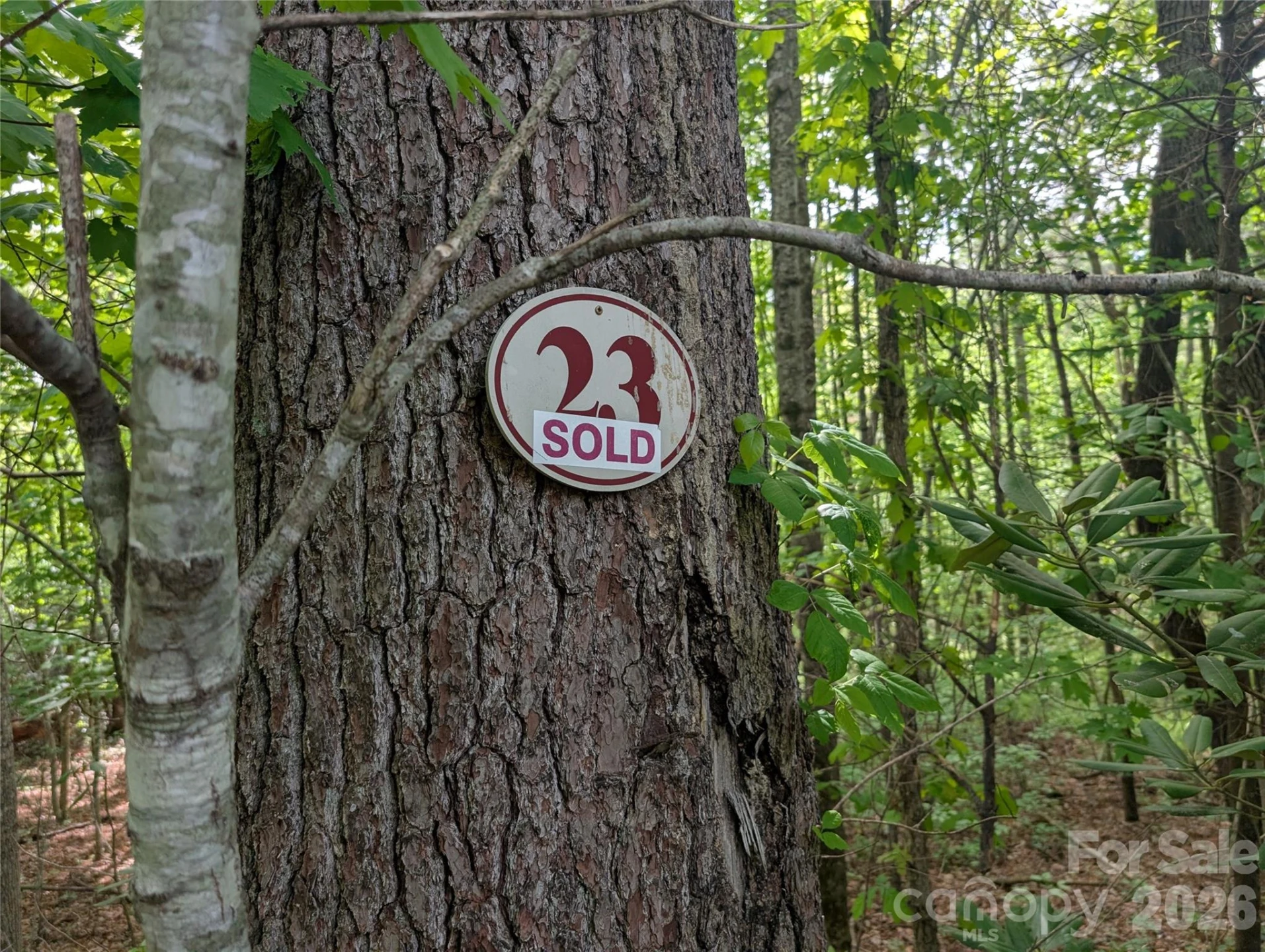 00 Hosta Lane - Photo 12