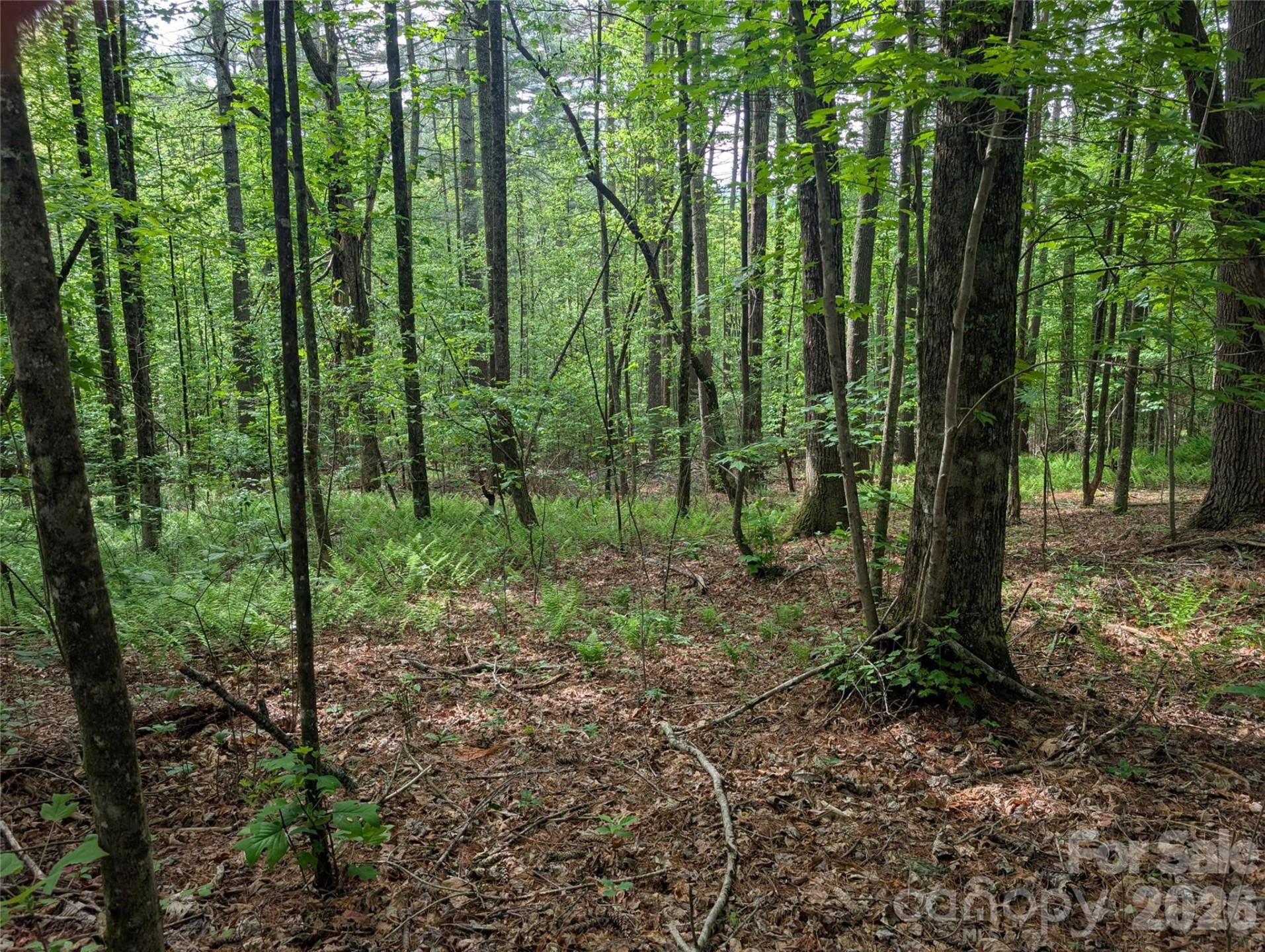 00 Hosta Lane - Photo 13