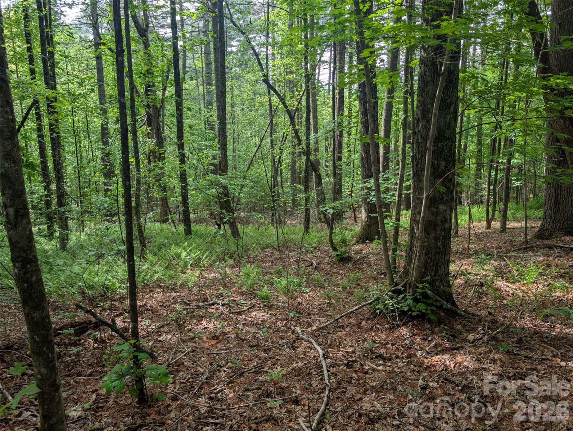 00 Hosta Lane - Photo 14