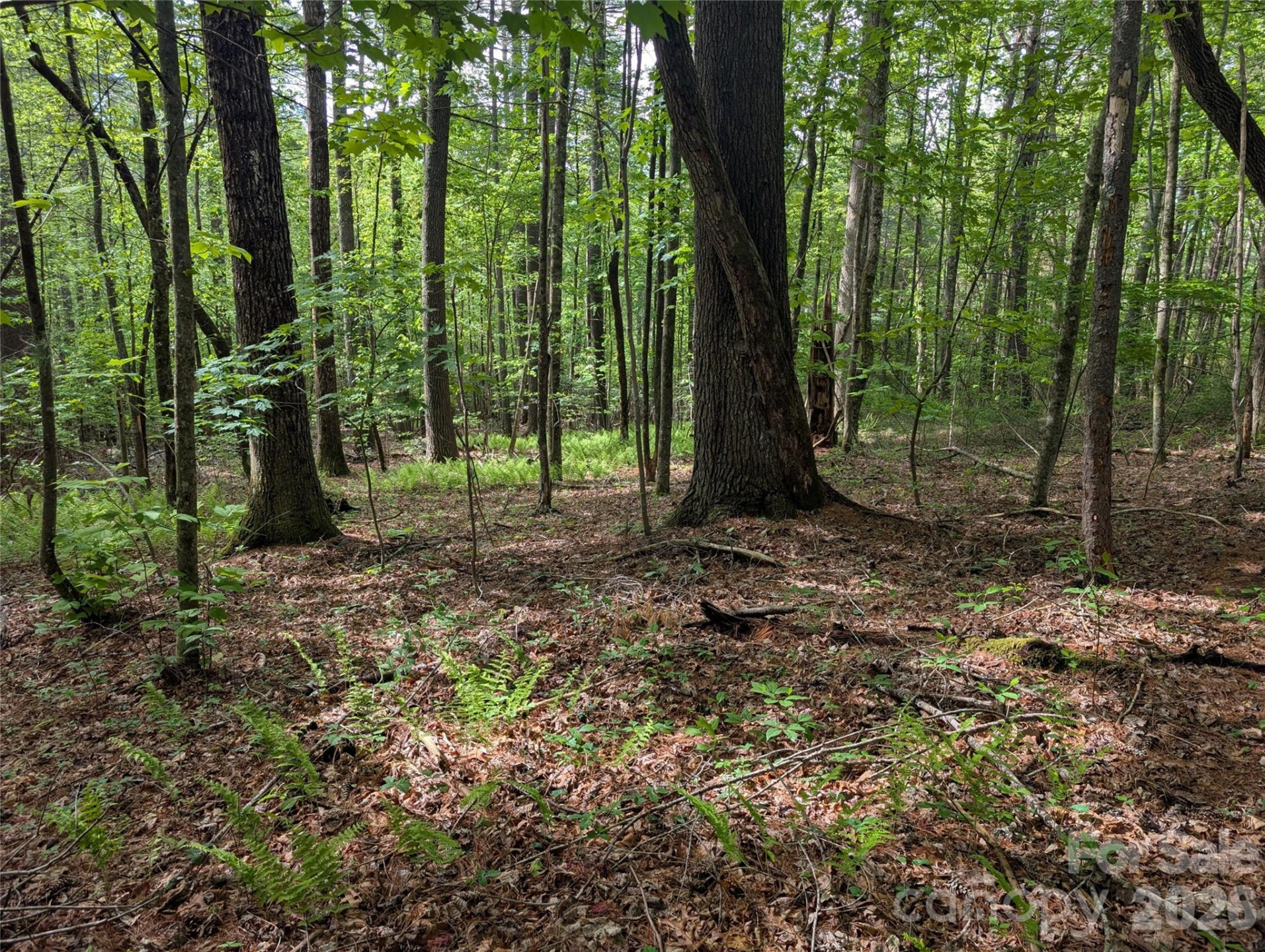 00 Hosta Lane - Photo 15