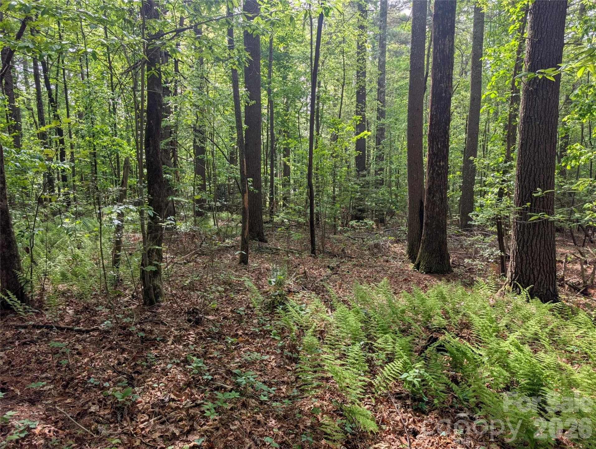 00 Hosta Lane - Photo 16