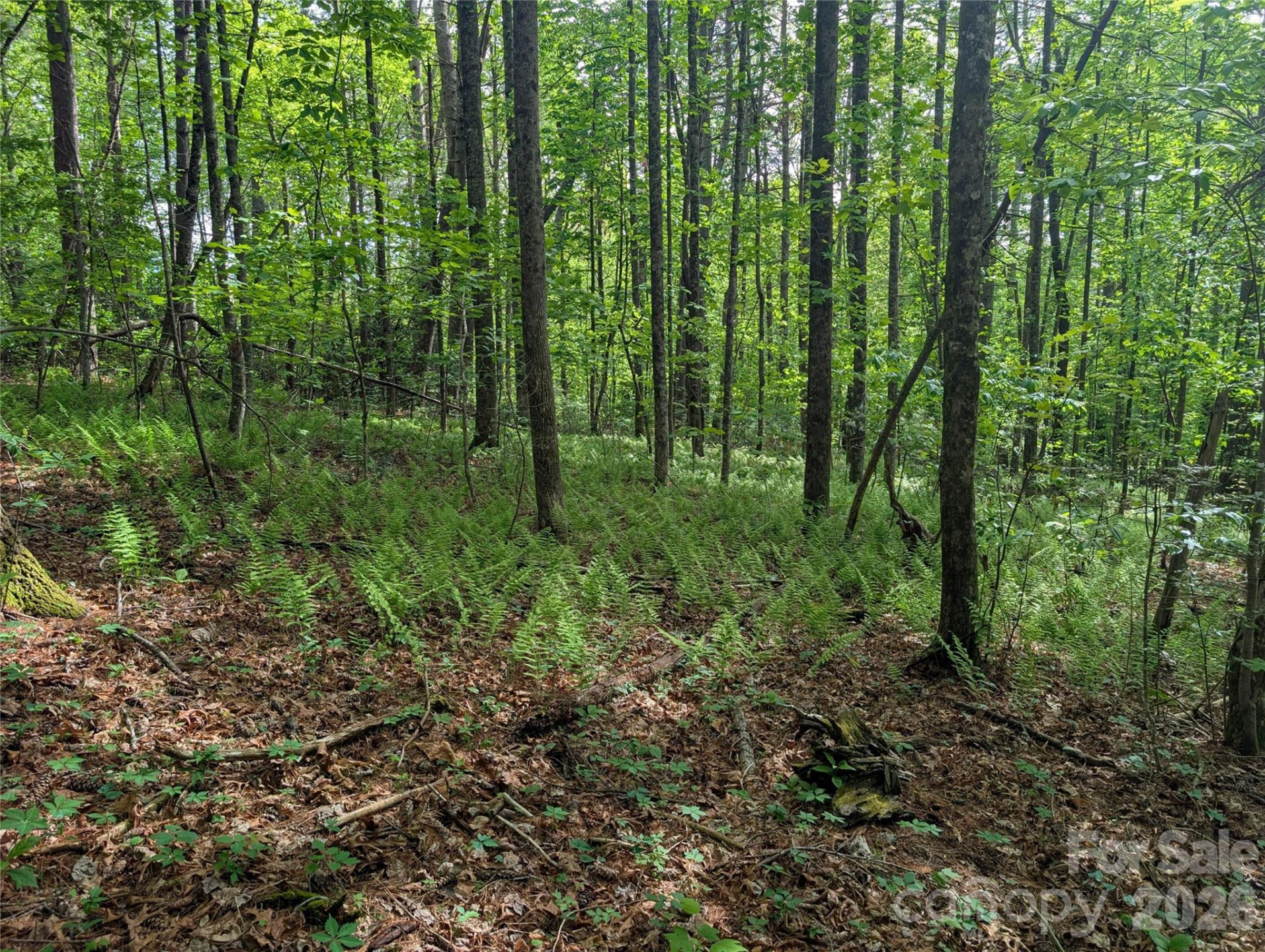 00 Hosta Lane - Photo 17