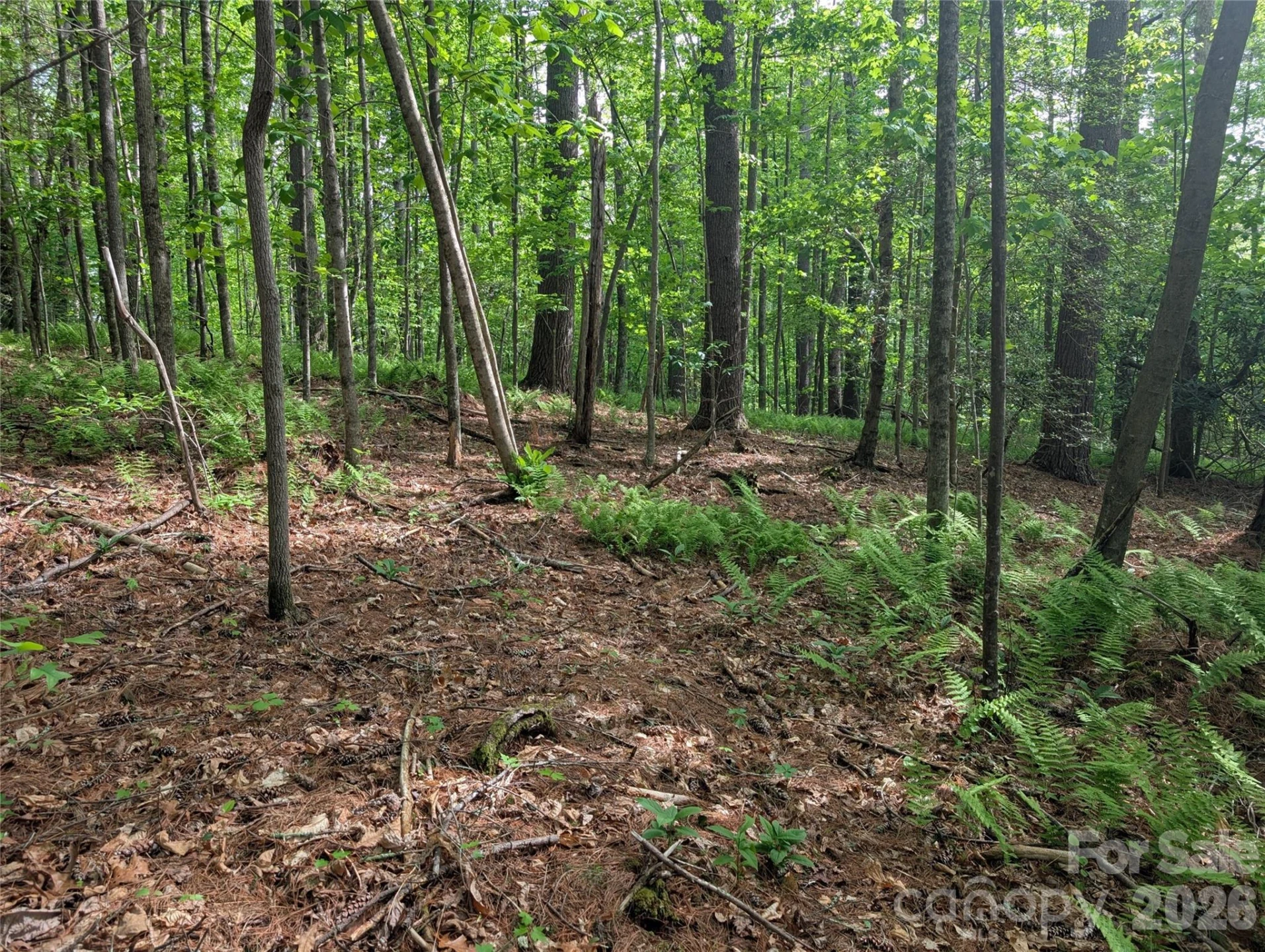 00 Hosta Lane - Photo 18