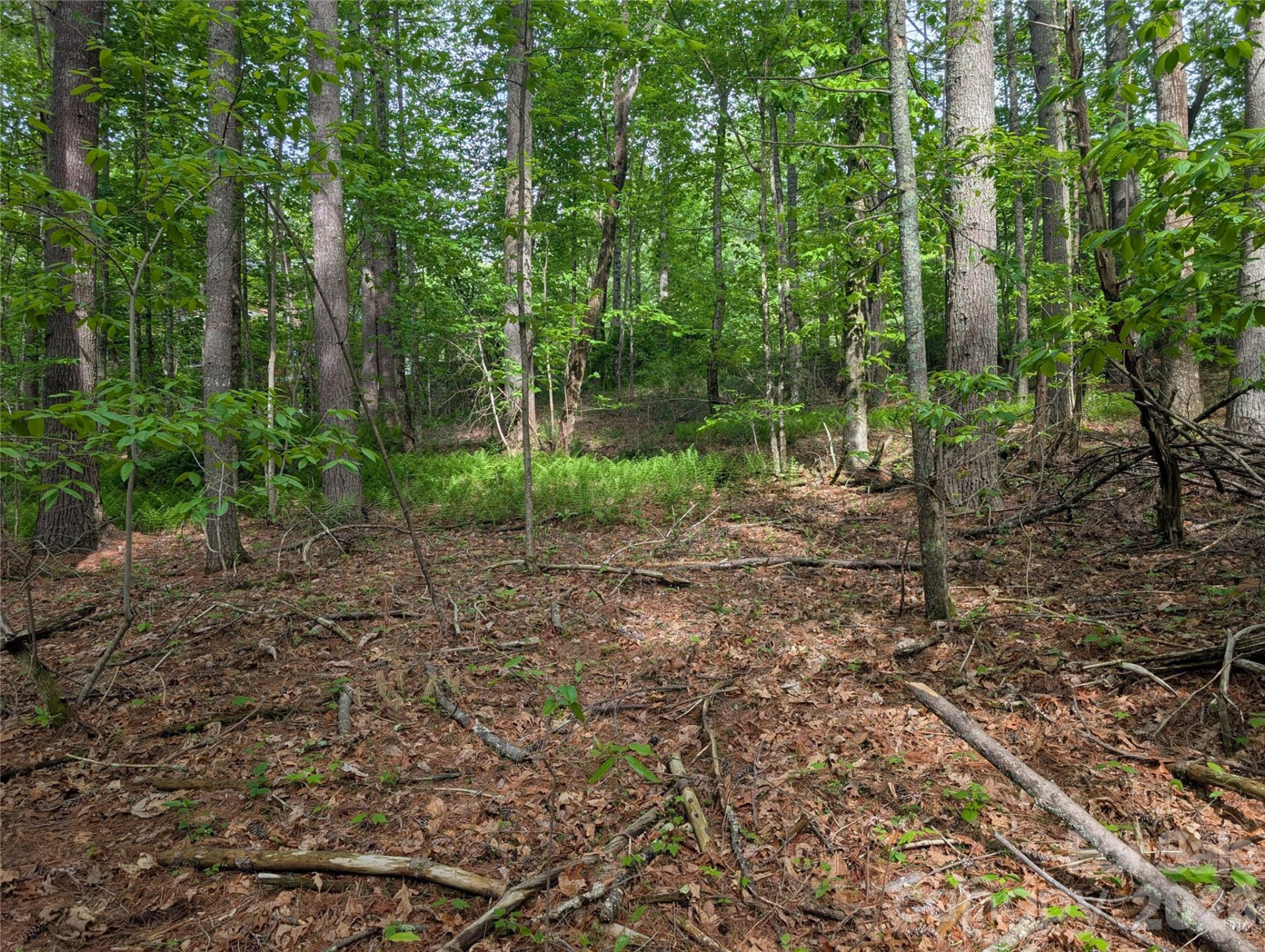 00 Hosta Lane - Photo 19