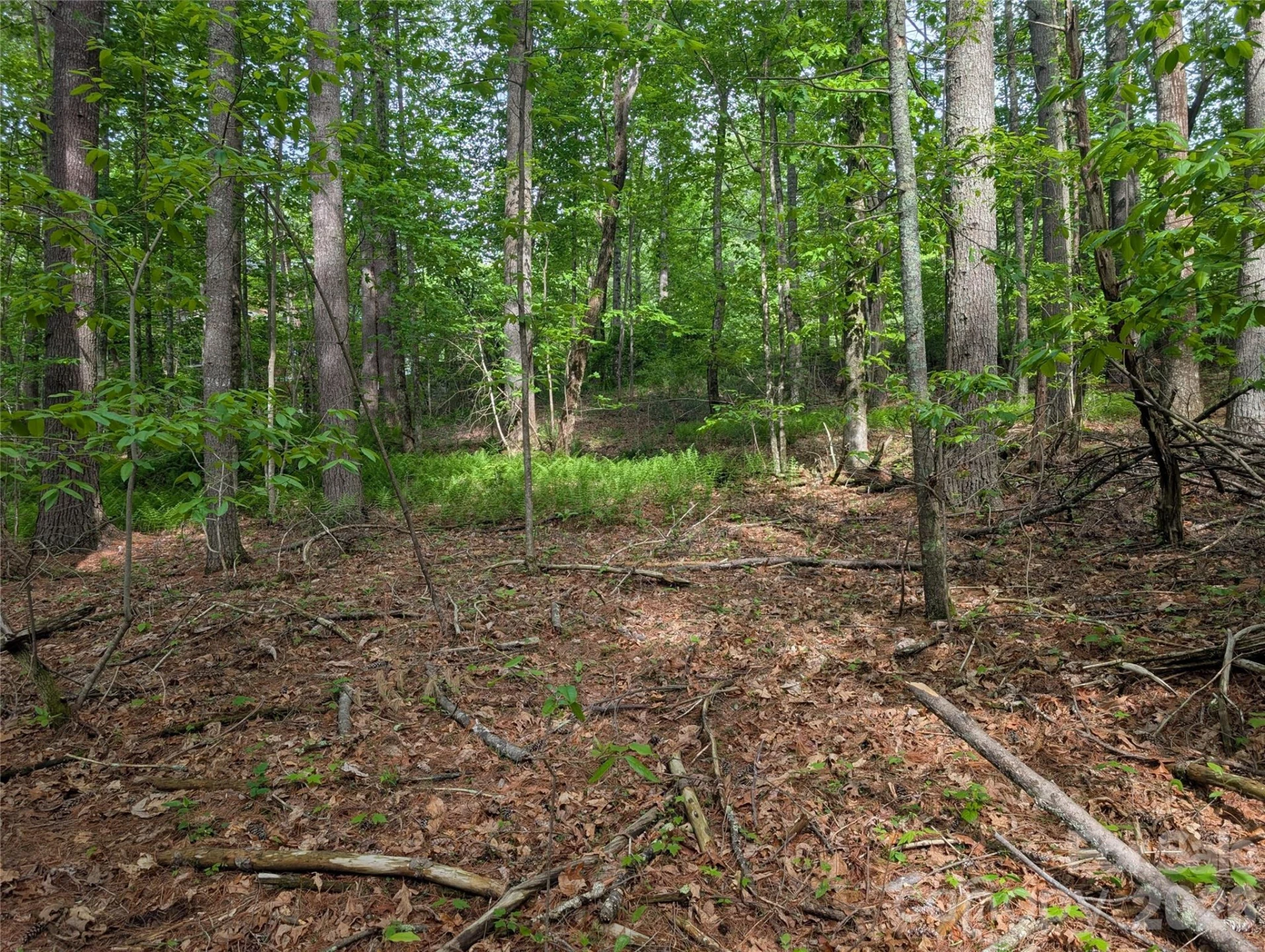 00 Hosta Lane - Photo 19