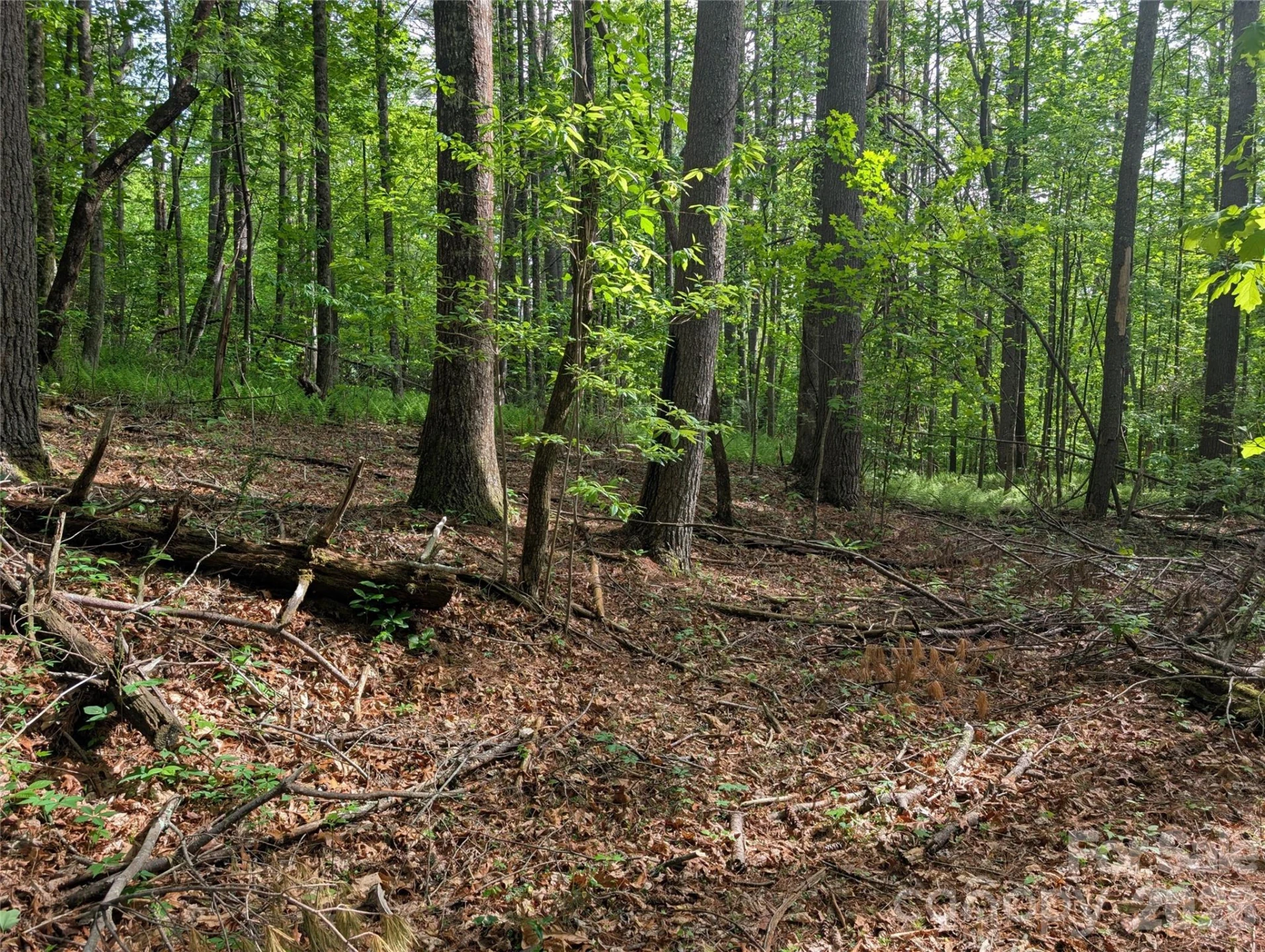 00 Hosta Lane - Photo 20