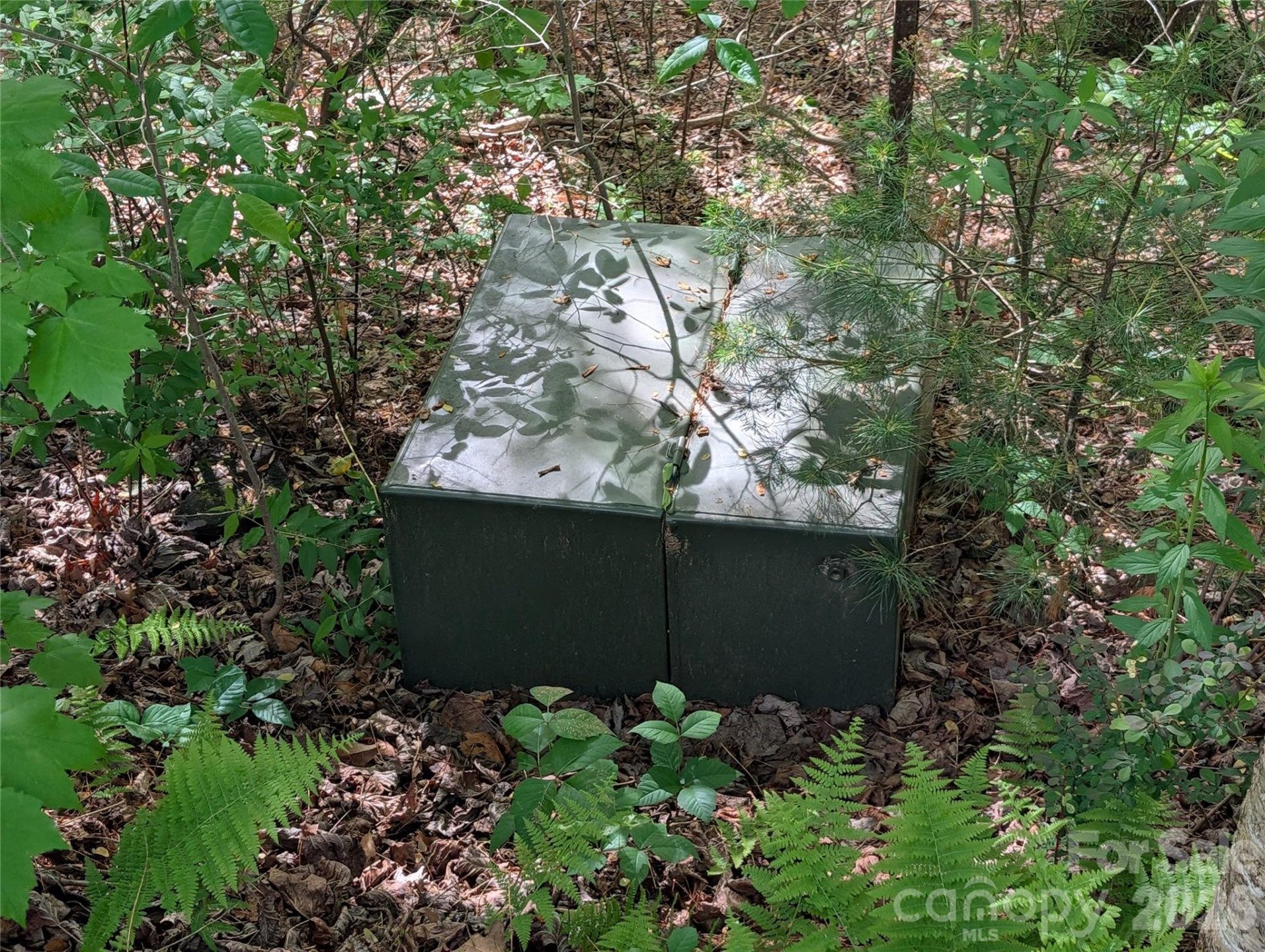 00 Hosta Lane - Photo 21