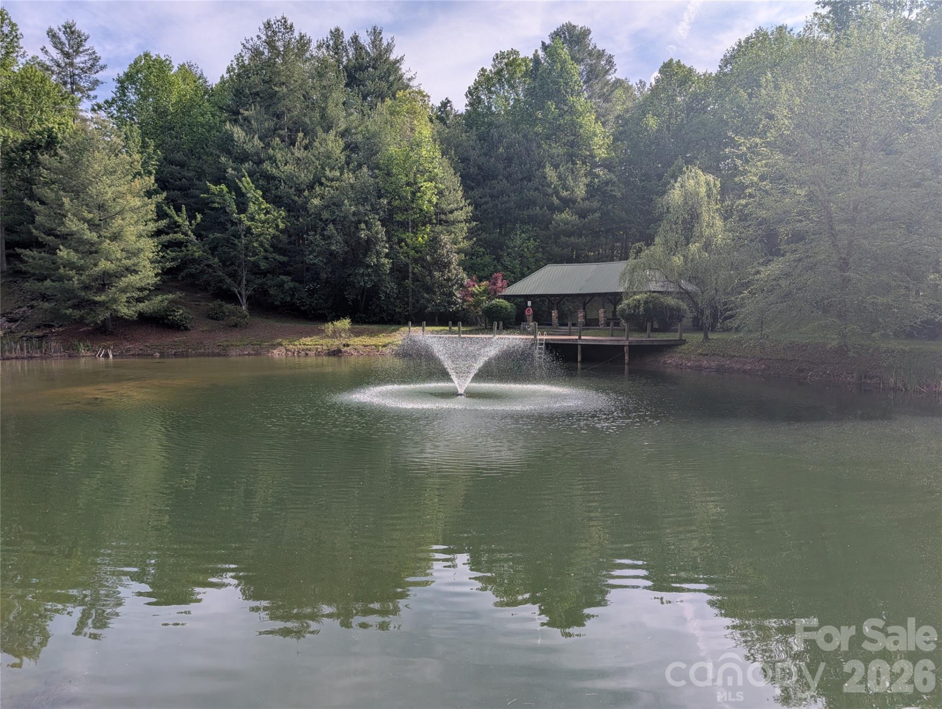 00 Hosta Lane - Photo 5
