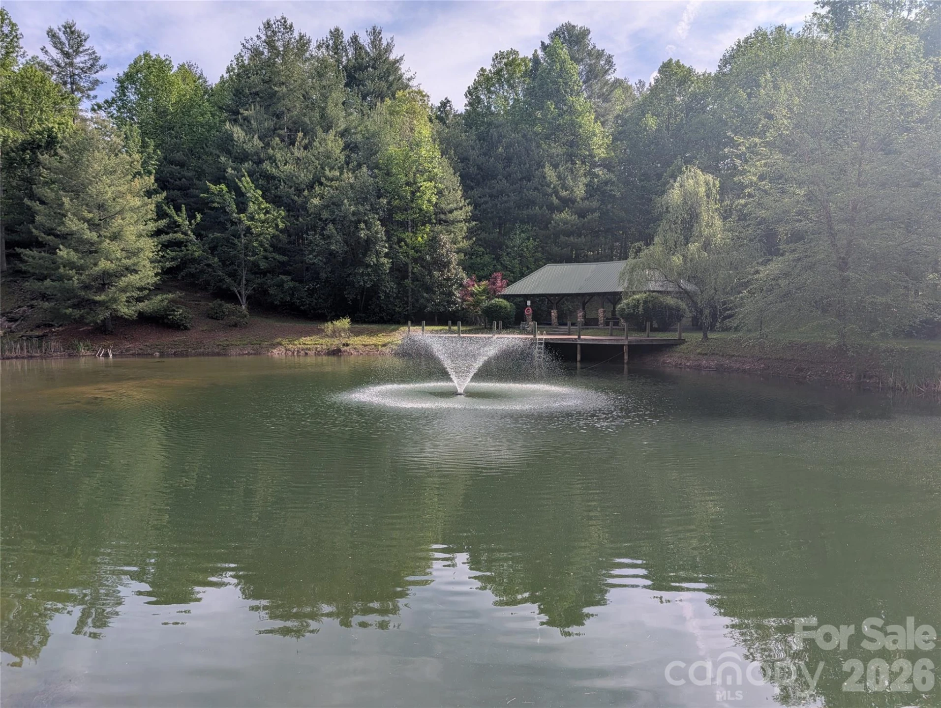 00 Hosta Lane - Photo 5