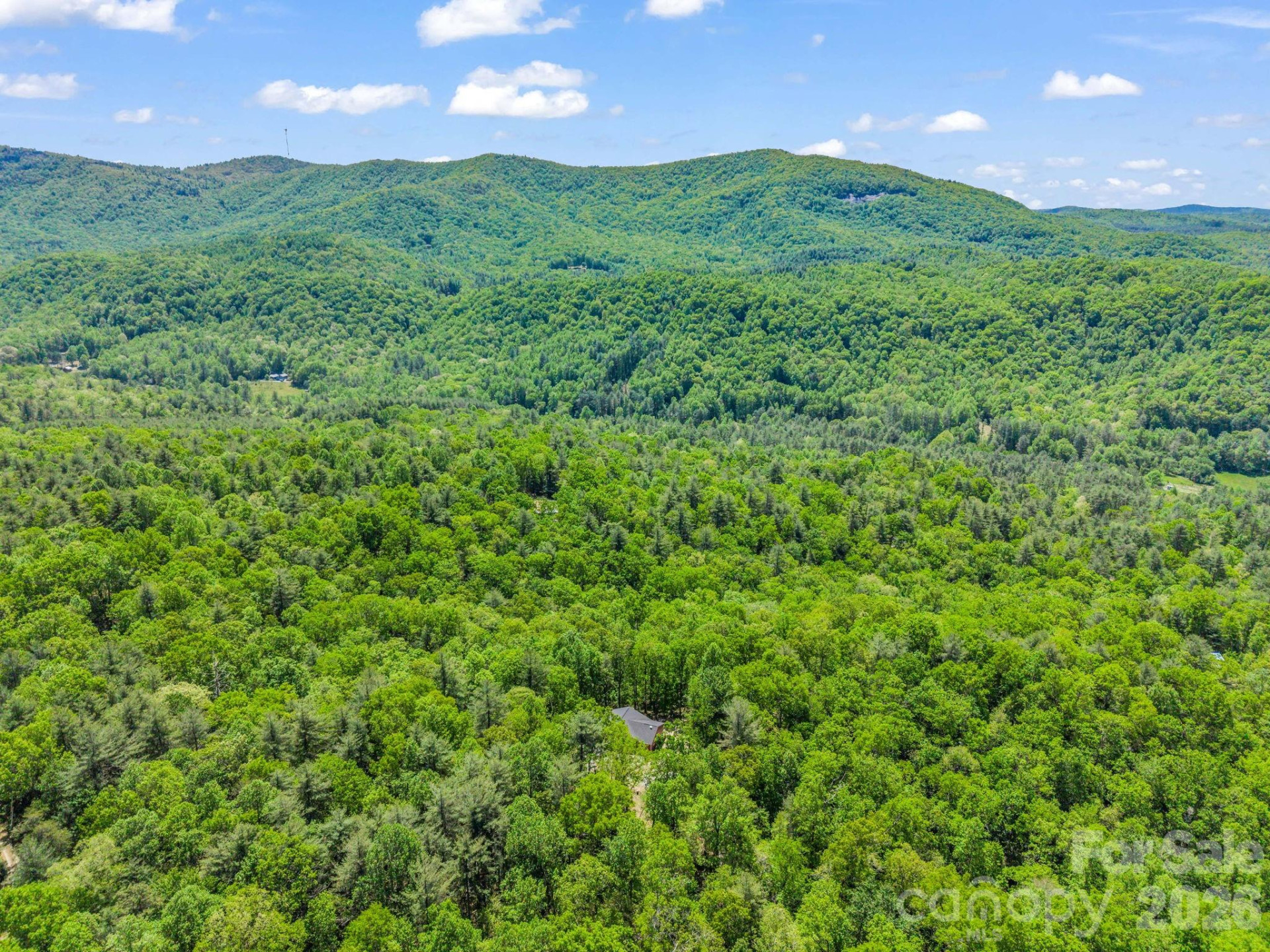 565 Pinewood Knoll Drive - Photo 40