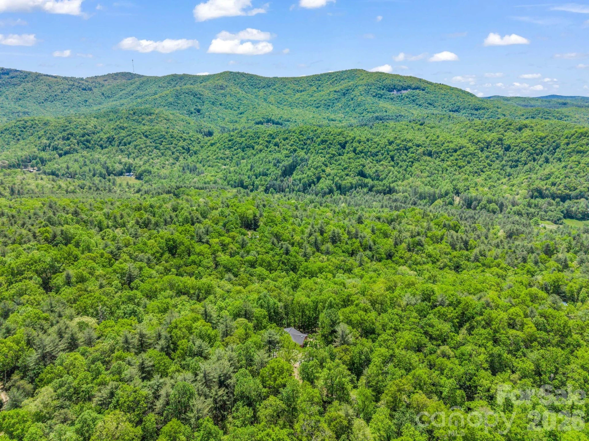 565 Pinewood Knoll Drive - Photo 41