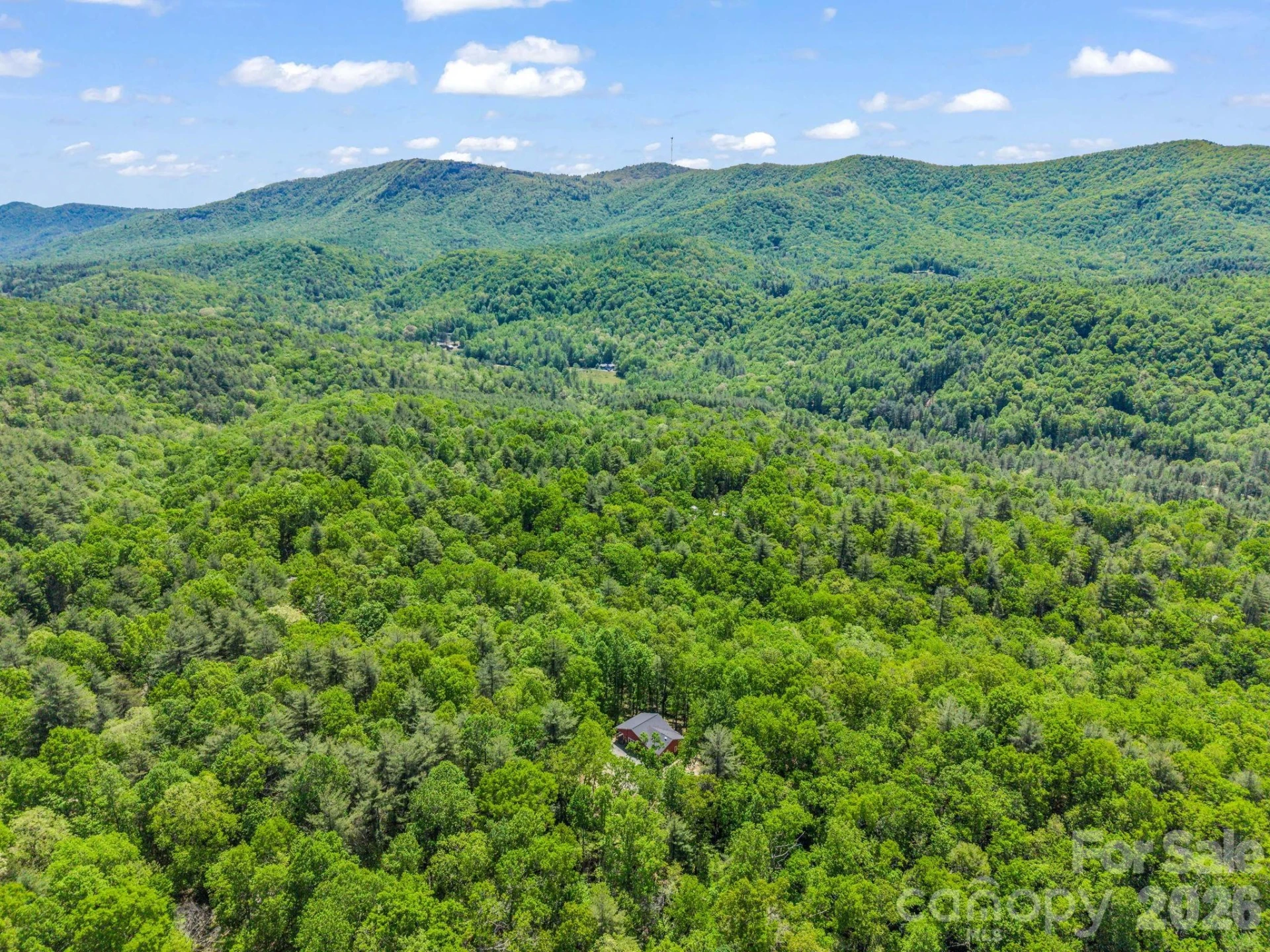 565 Pinewood Knoll Drive - Photo 42