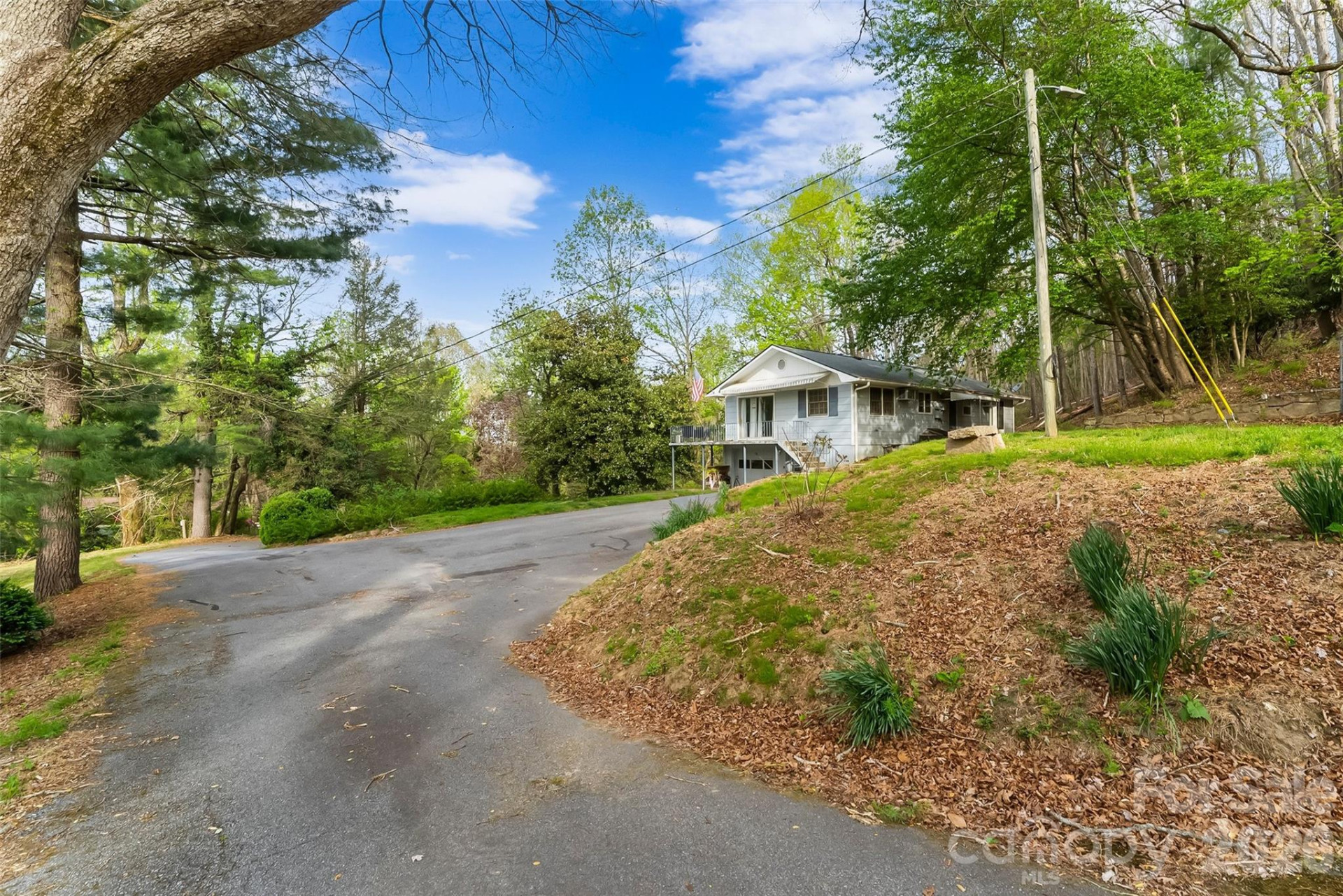 98 Limberlost Drive - Photo 20