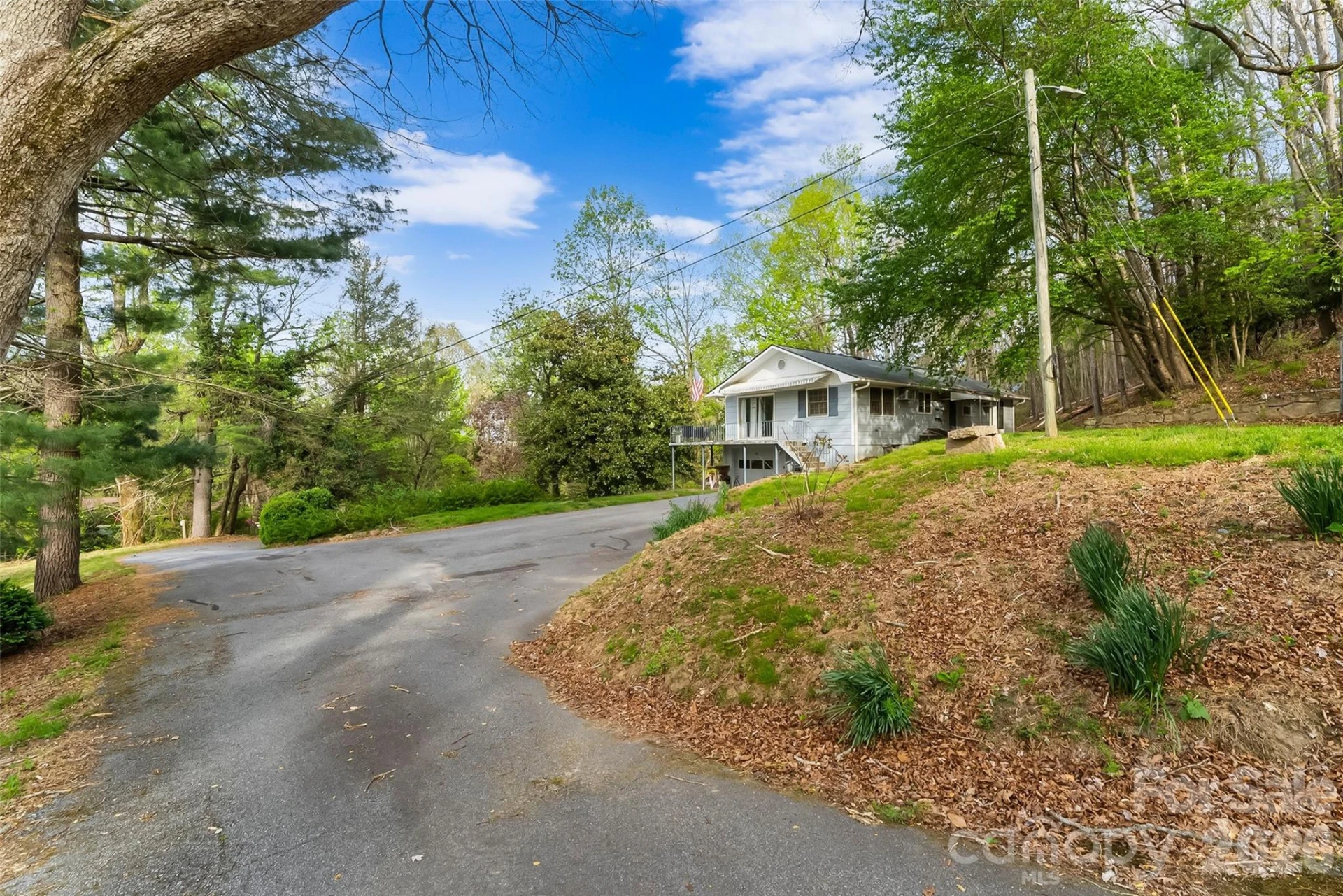 98 Limberlost Drive - Photo 20