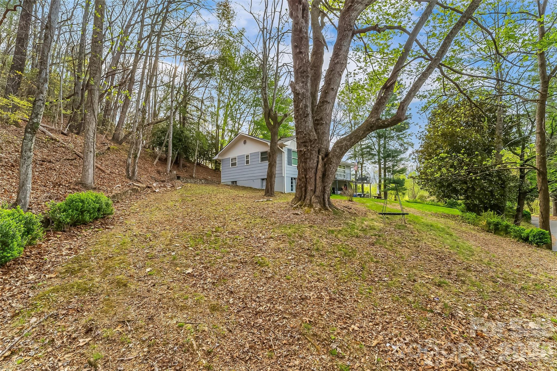 98 Limberlost Drive - Photo 23