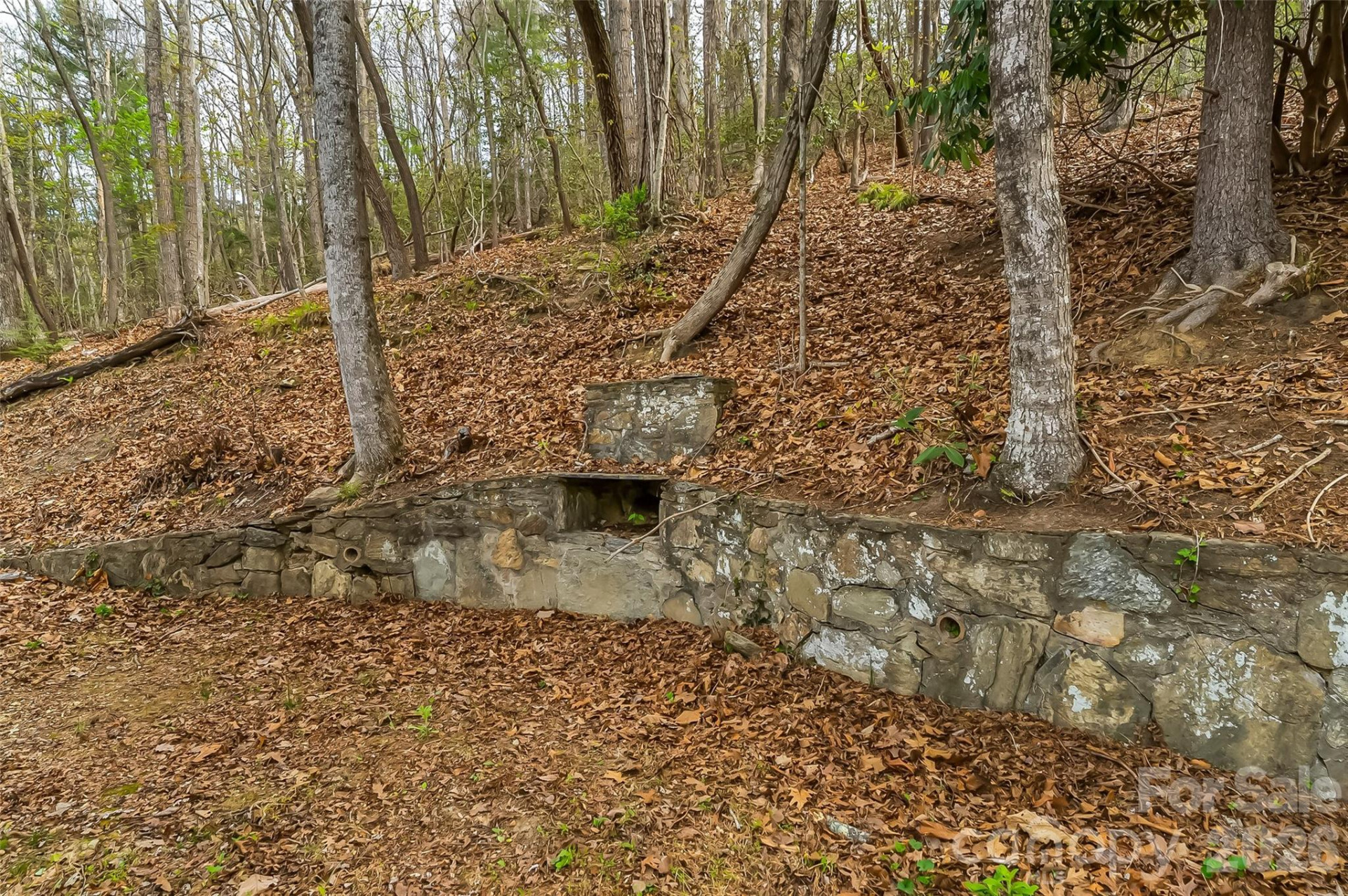 98 Limberlost Drive - Photo 25