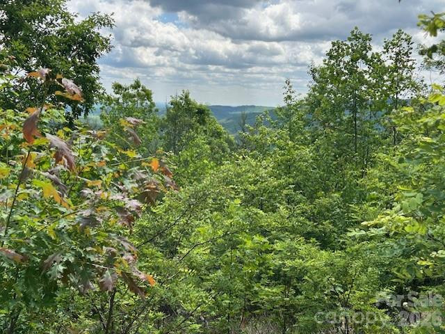 0 Azule Ridge - Photo 11