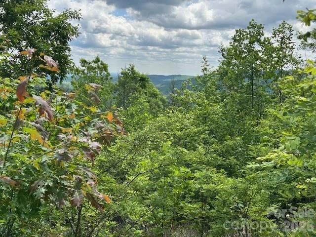 0 Azule Ridge - Photo 11