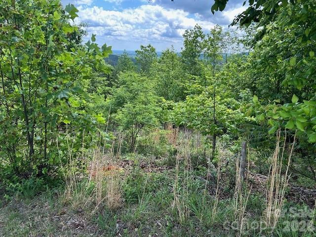 0 Azule Ridge - Photo 12