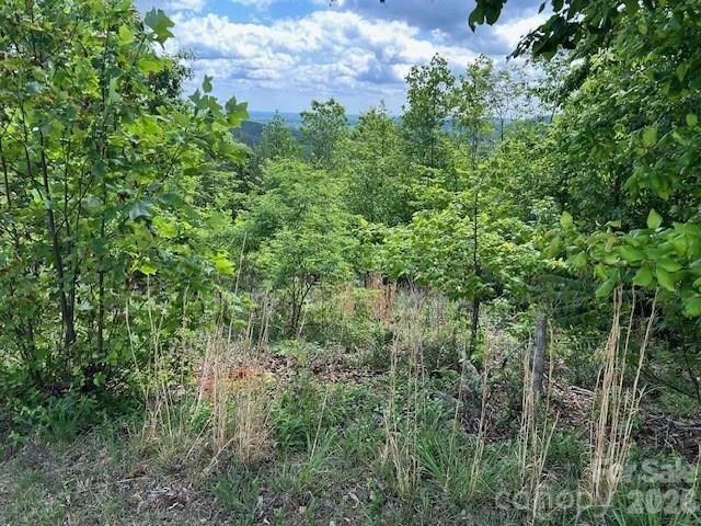 0 Azule Ridge - Photo 12