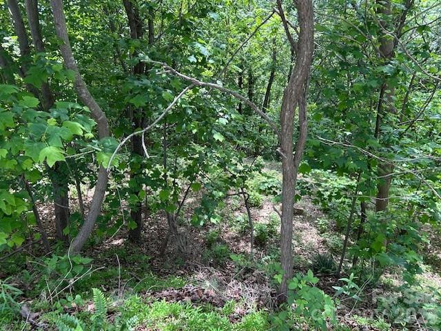 0 Azule Ridge - Photo 13