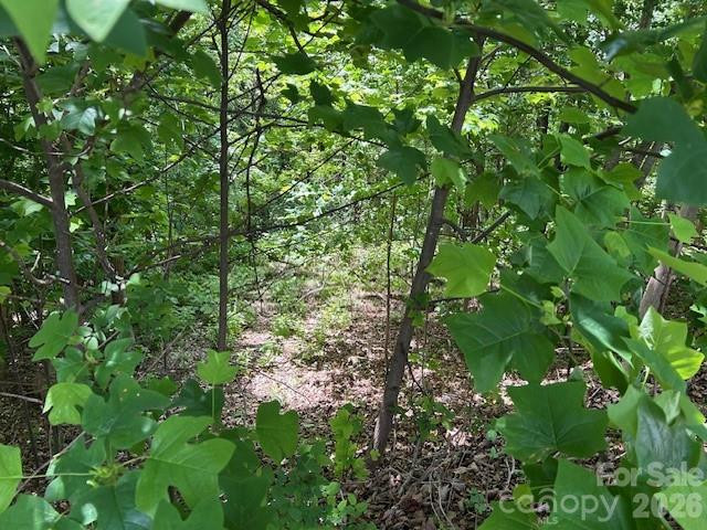 0 Azule Ridge - Photo 14