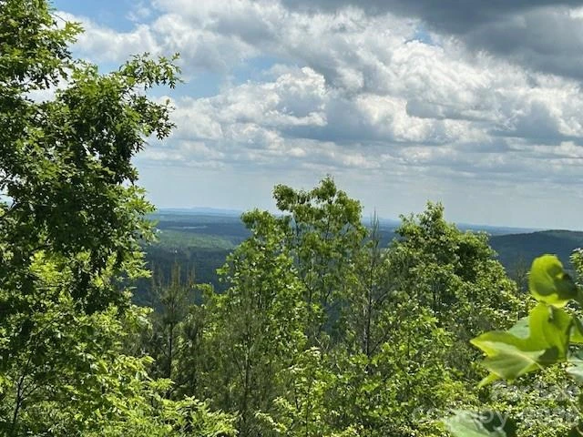 0 Azule Ridge - Photo 15