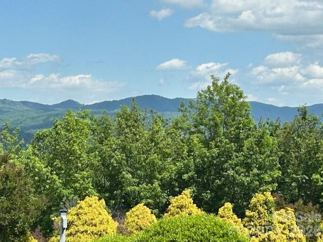 0 Azule Ridge - Photo 17