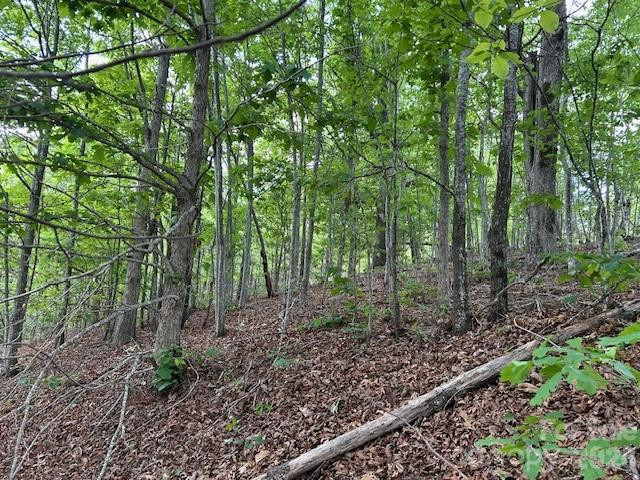 0 Azule Ridge - Photo 5