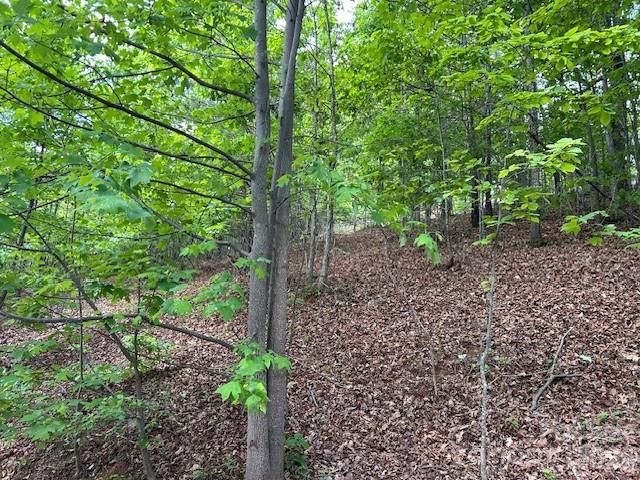 0 Azule Ridge - Photo 6